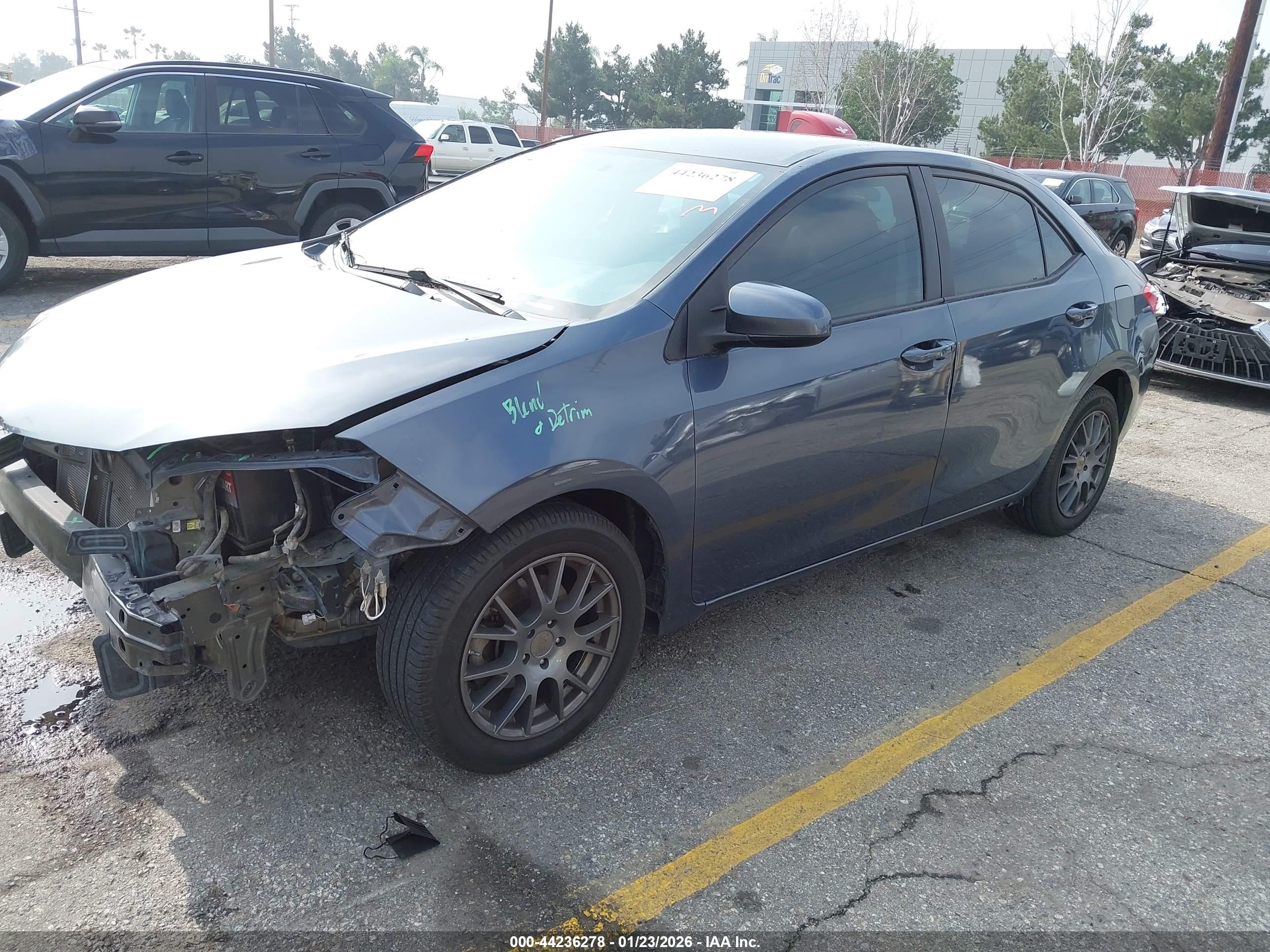 TOYOTA COROLLA image 2