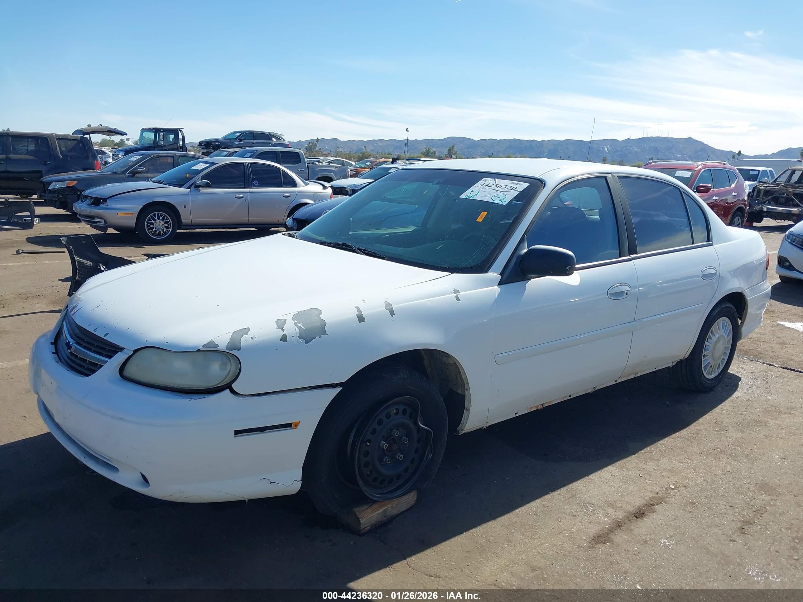 CHEVROLET MALIBU image 2