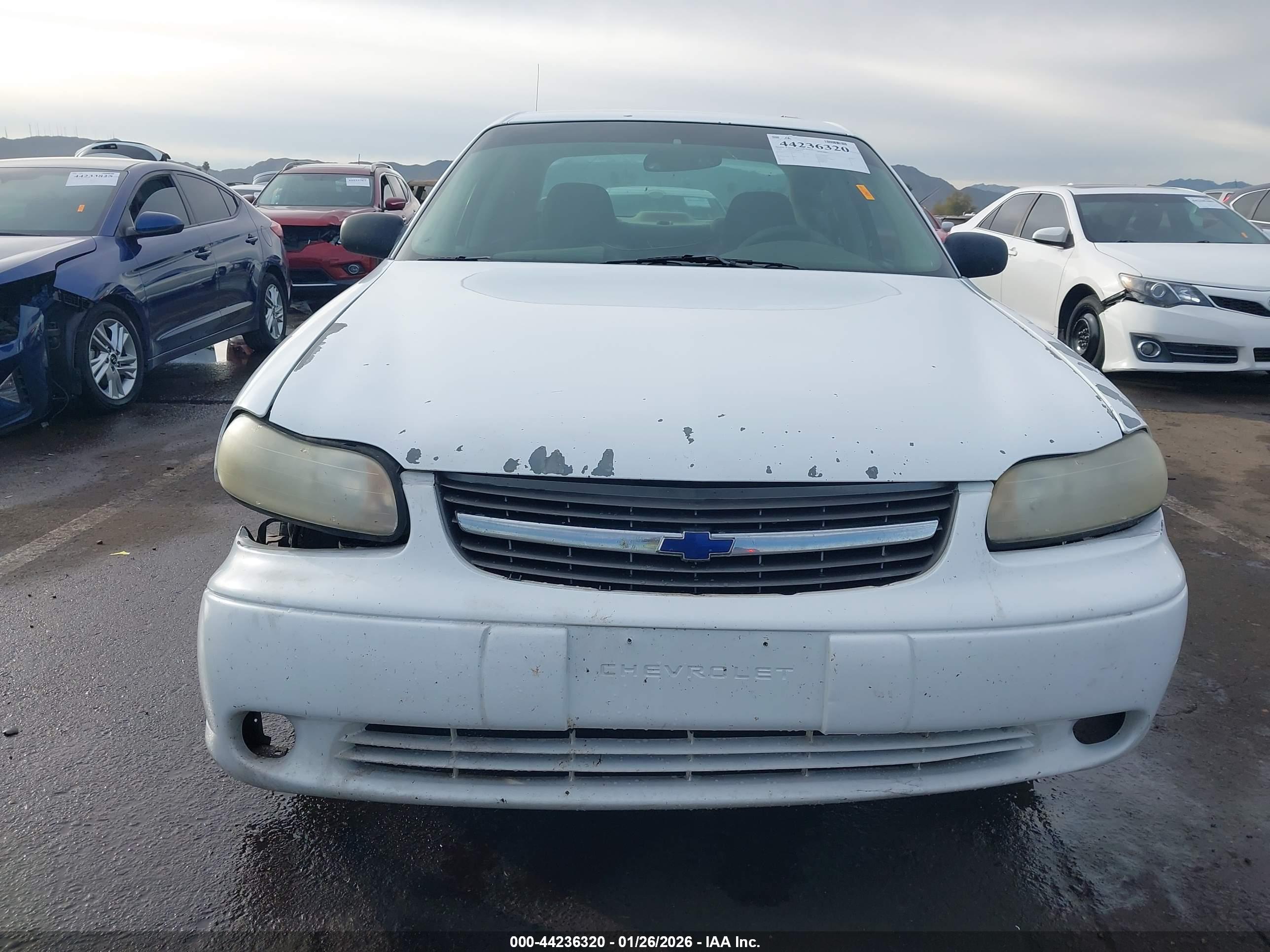 CHEVROLET MALIBU image 6