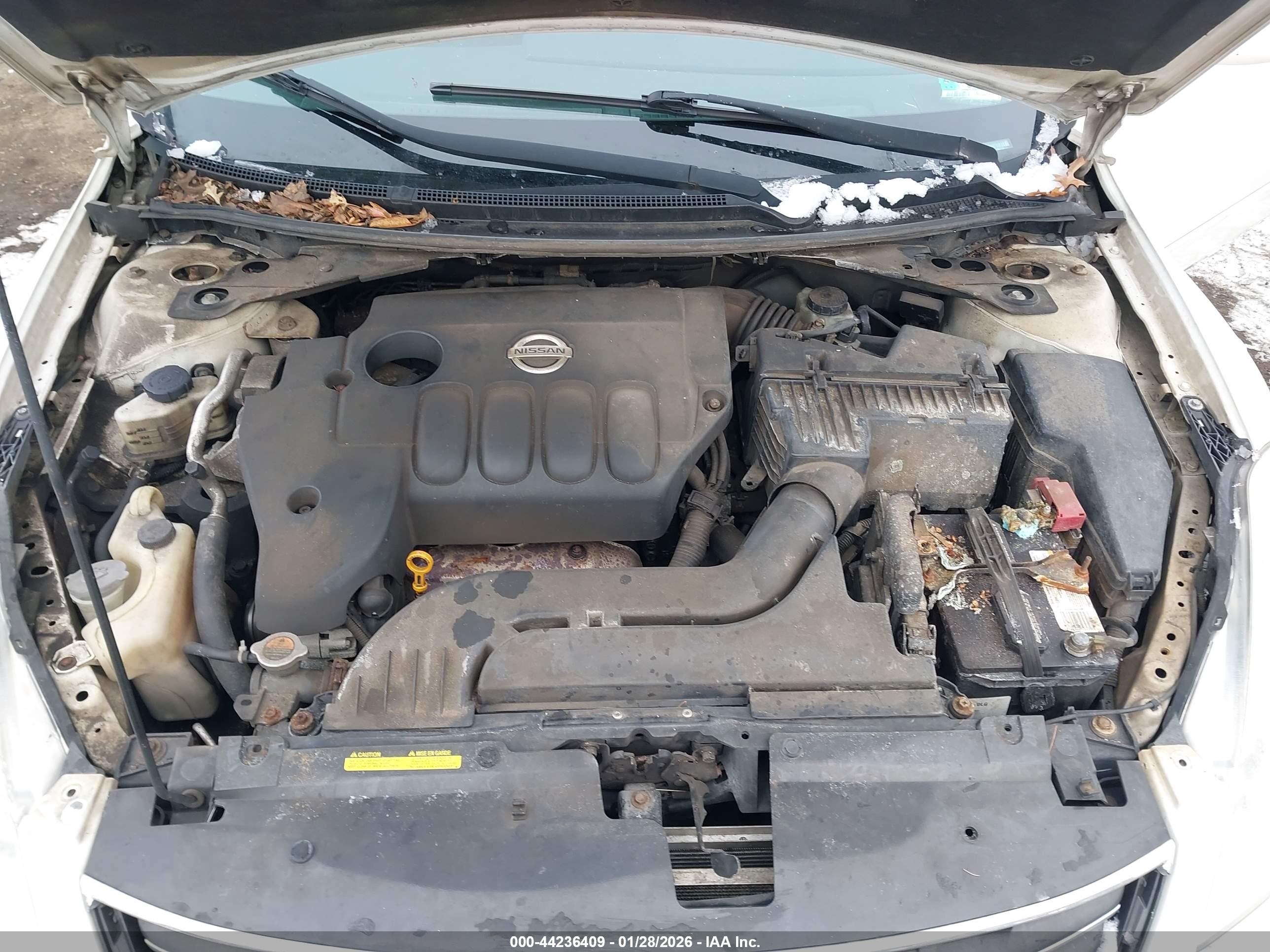 NISSAN ALTIMA image 10