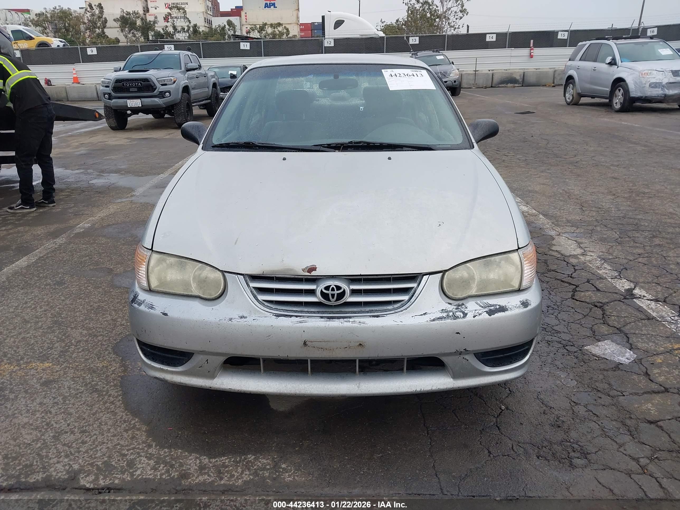 TOYOTA COROLLA image 6