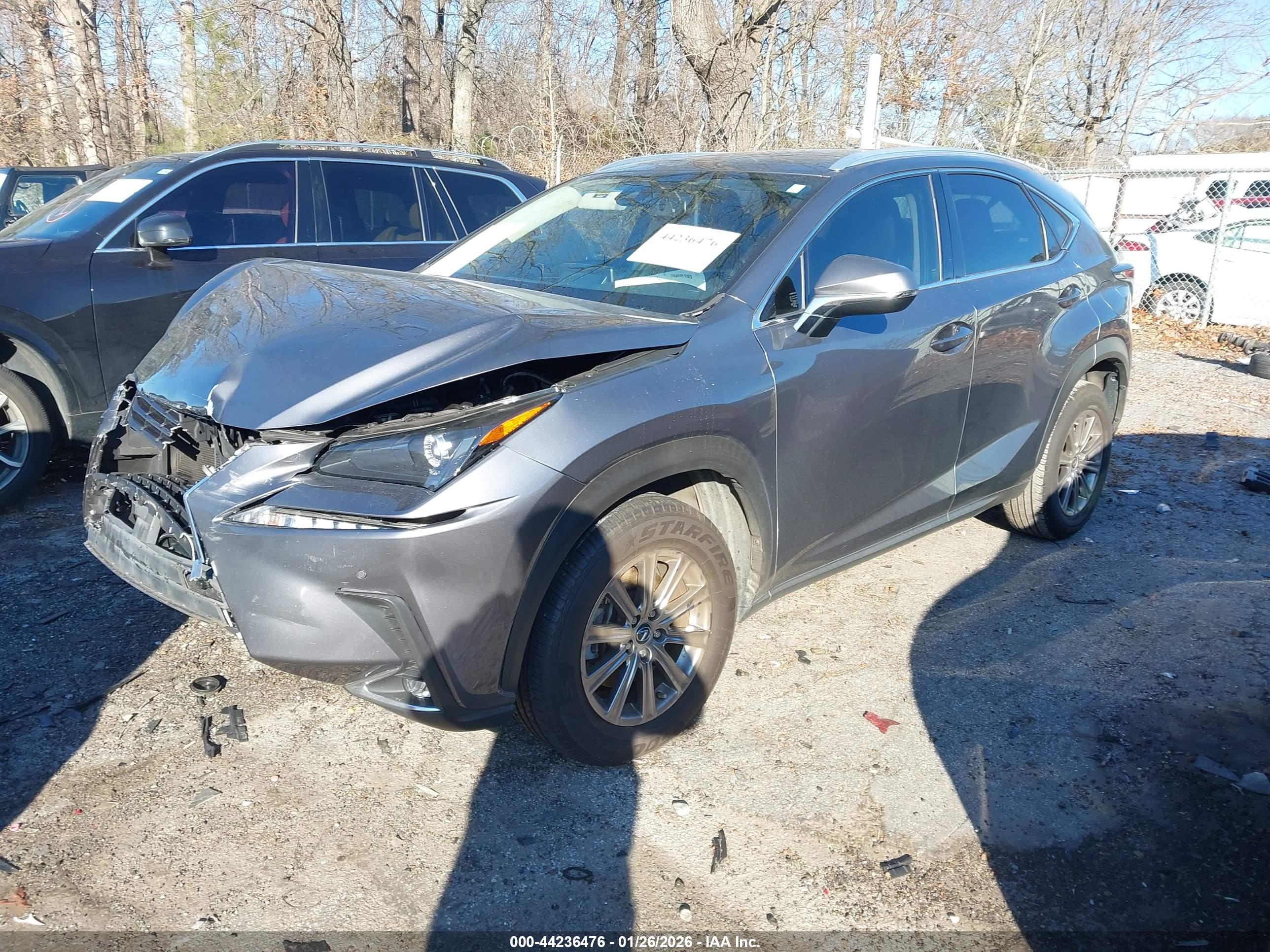 LEXUS NX image 2