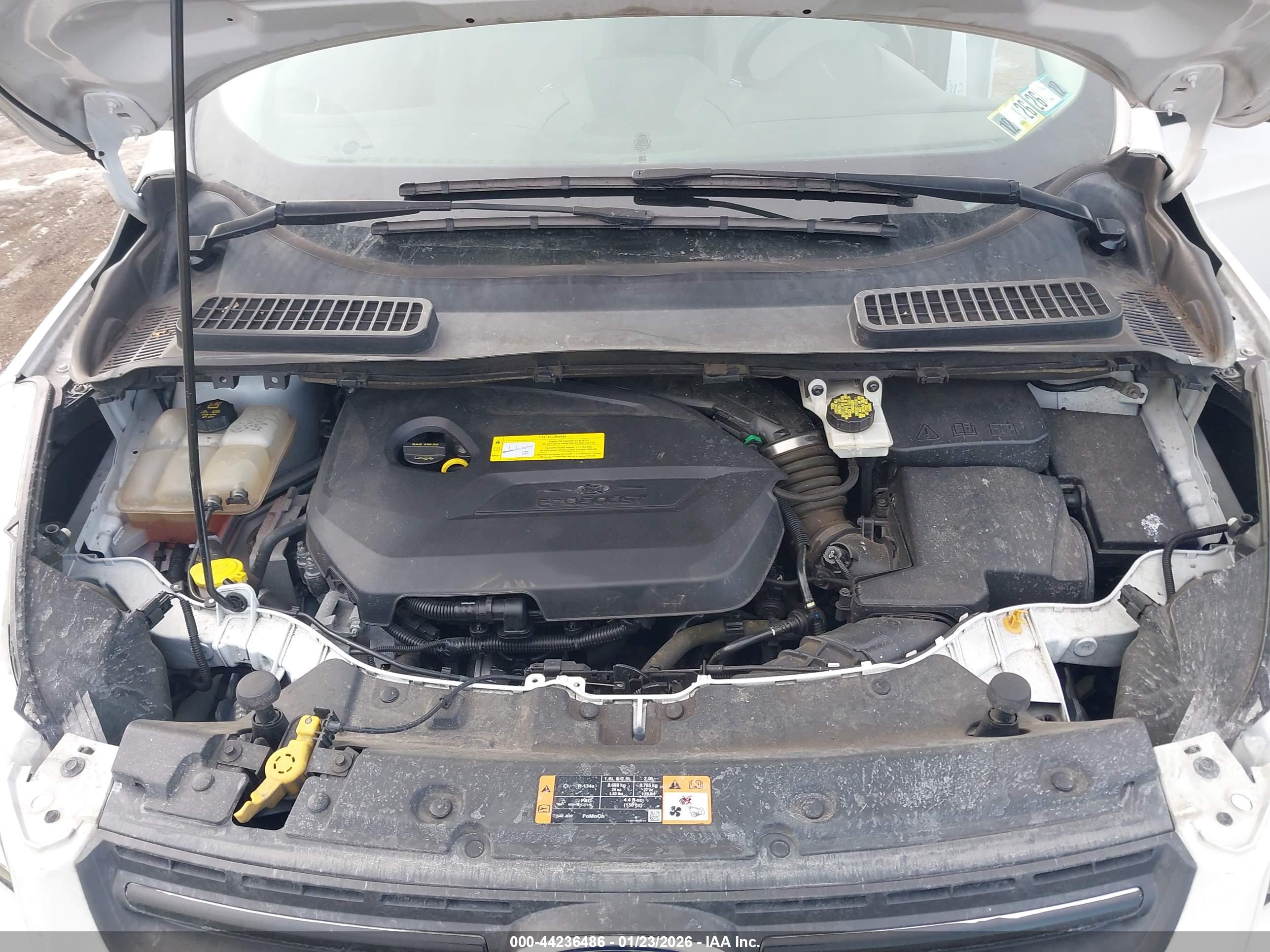 FORD ESCAPE image 10