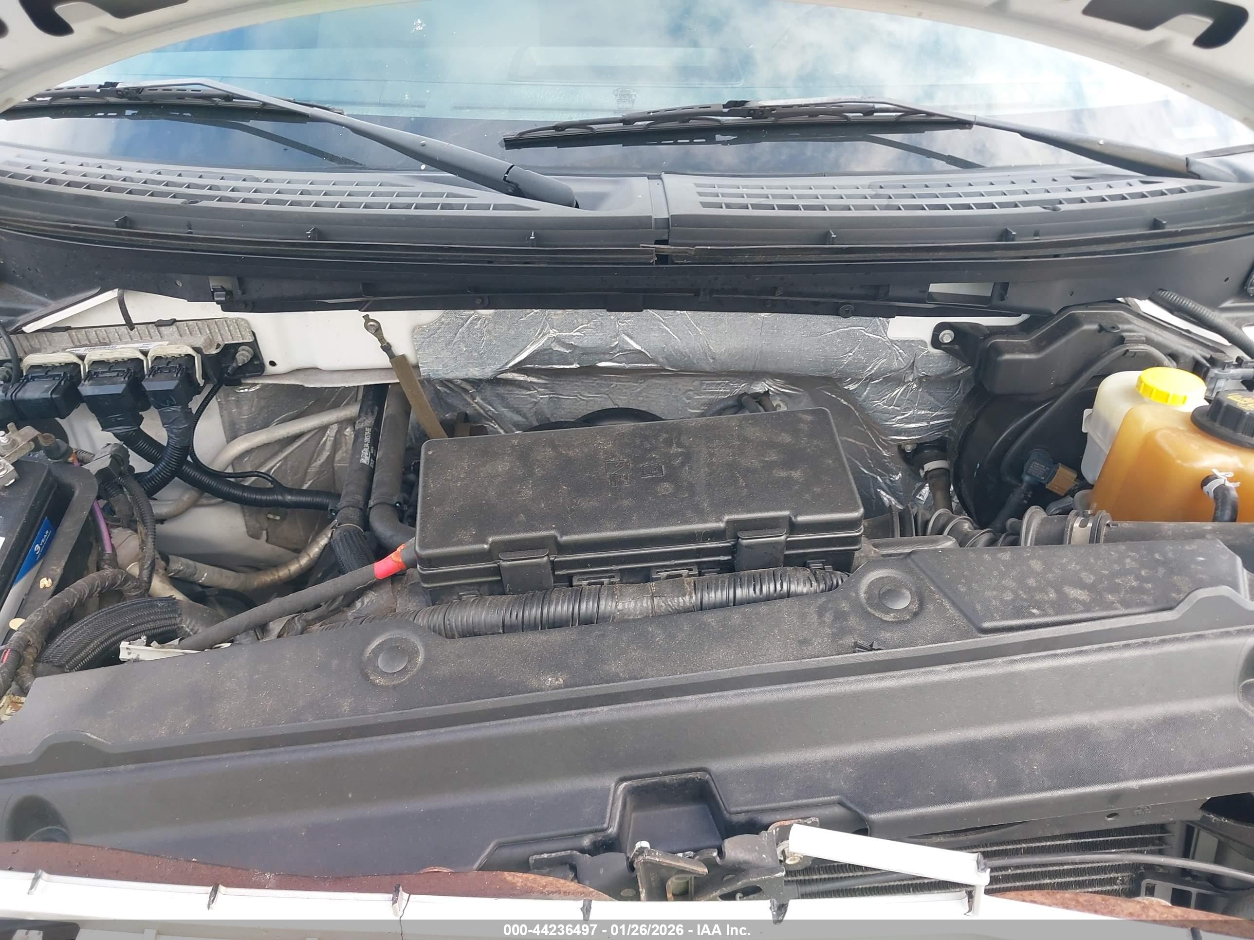FORD F-150 image 10