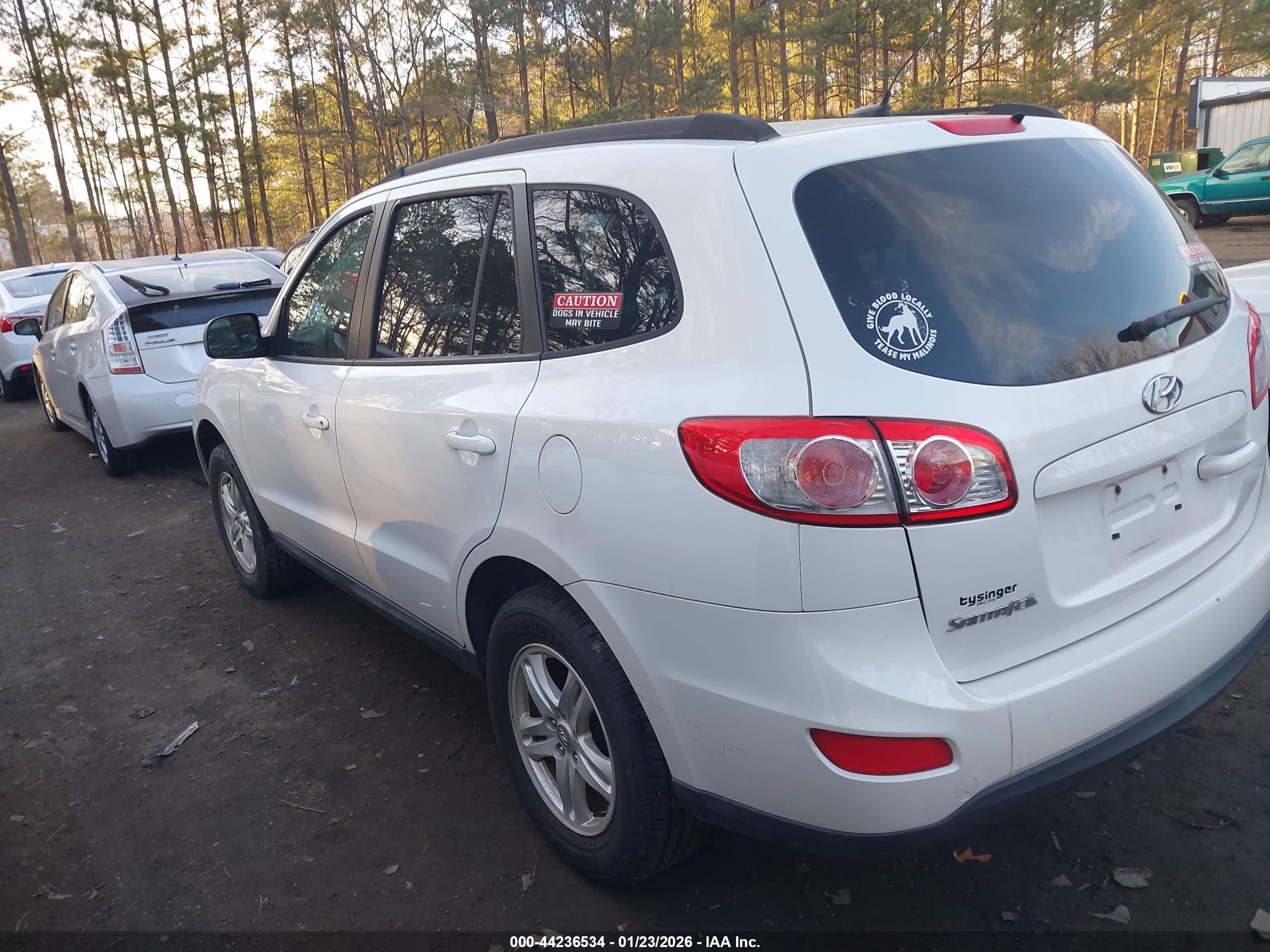 HYUNDAI SANTA image 3