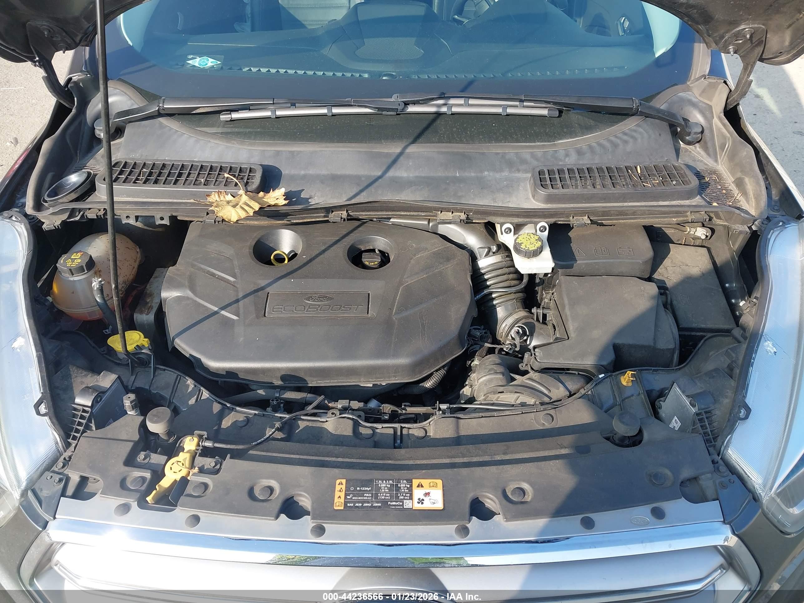 FORD ESCAPE image 10