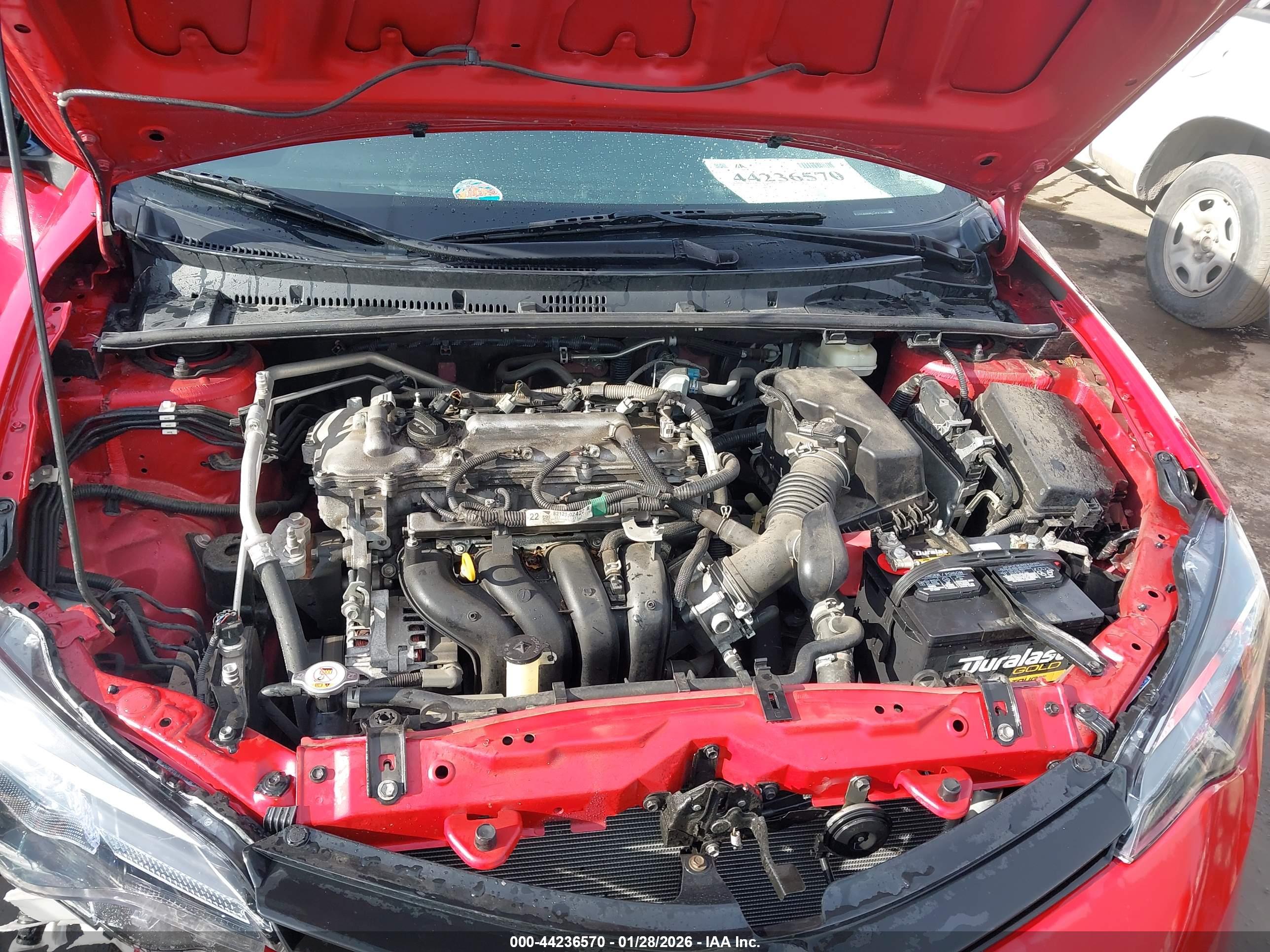 TOYOTA COROLLA image 10