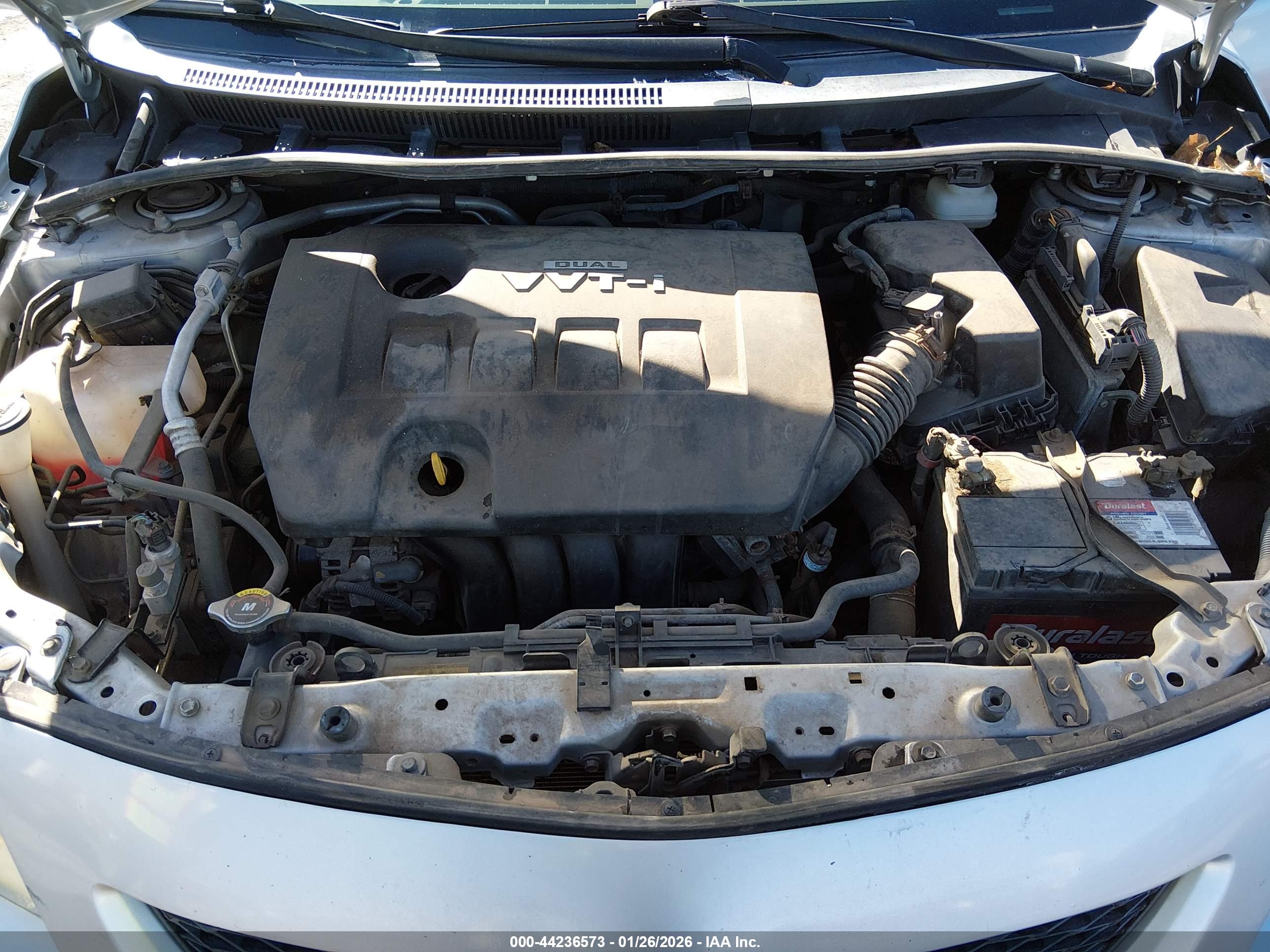 TOYOTA COROLLA image 10