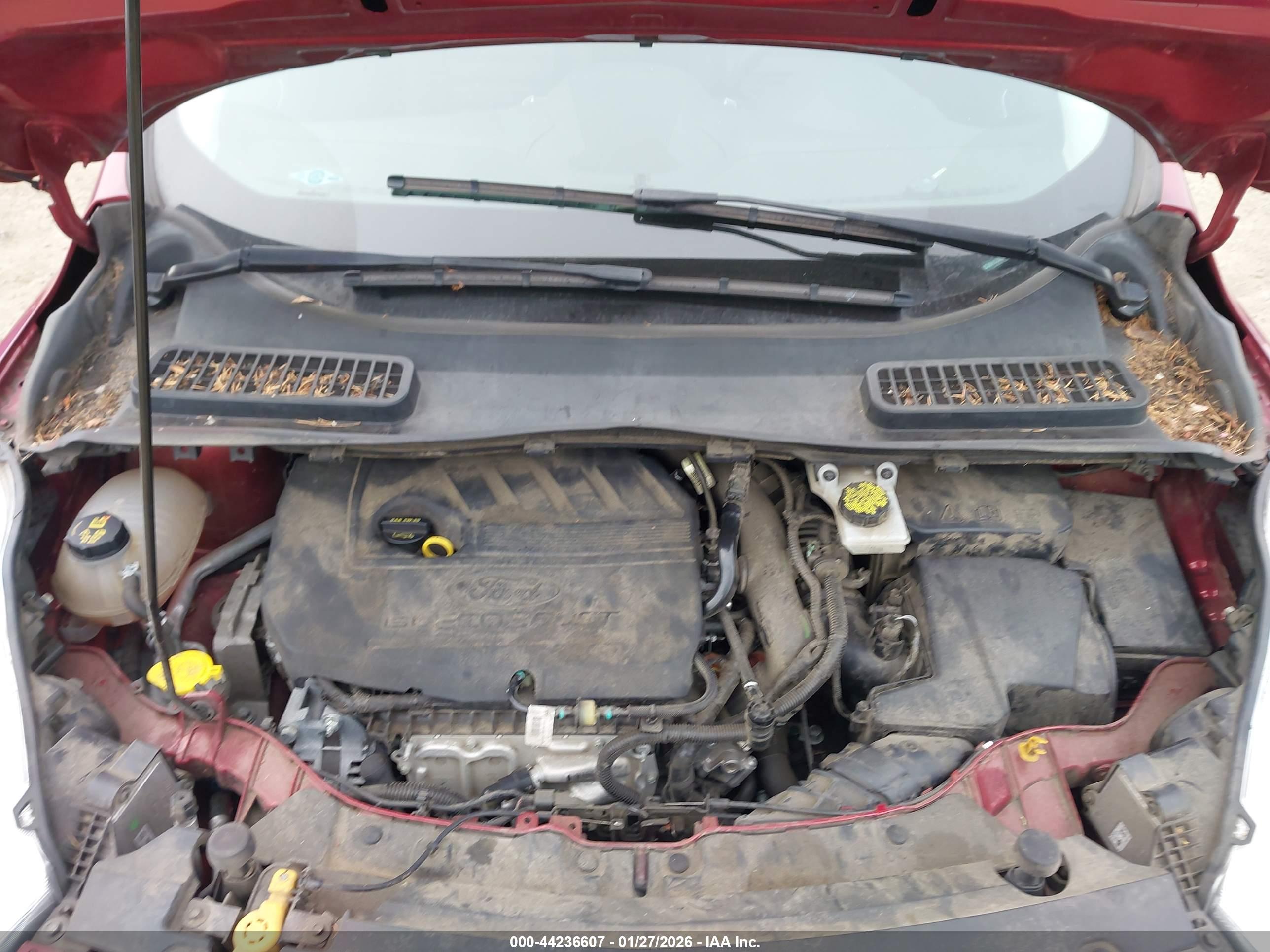 FORD ESCAPE image 10