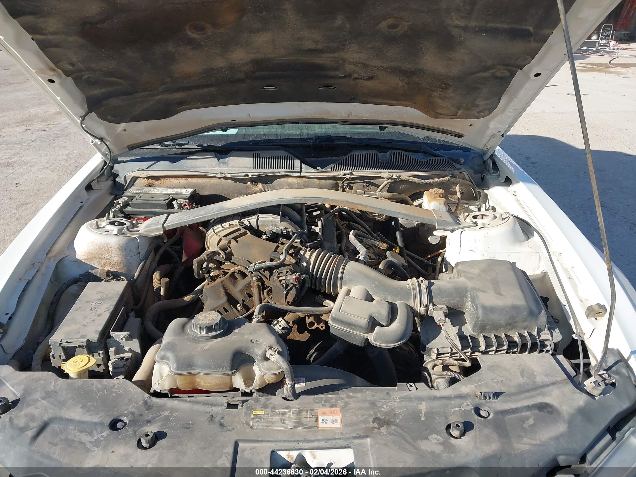 FORD MUSTANG image 10