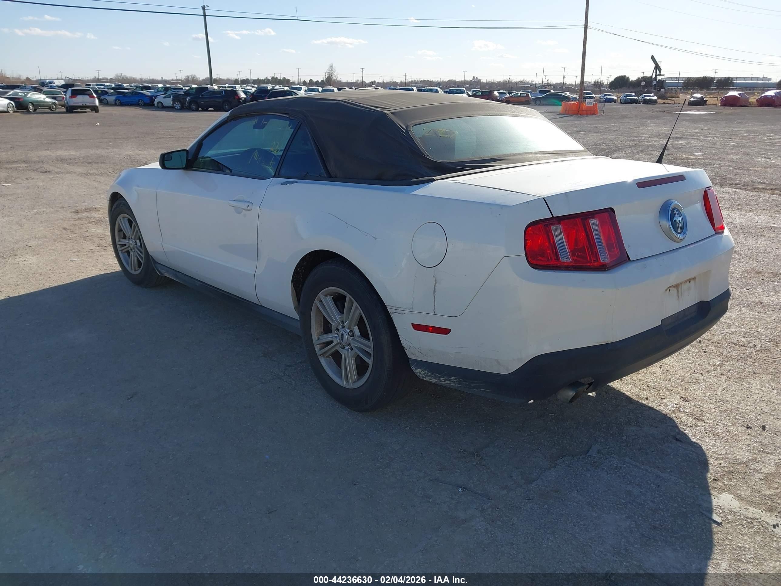 FORD MUSTANG image 3