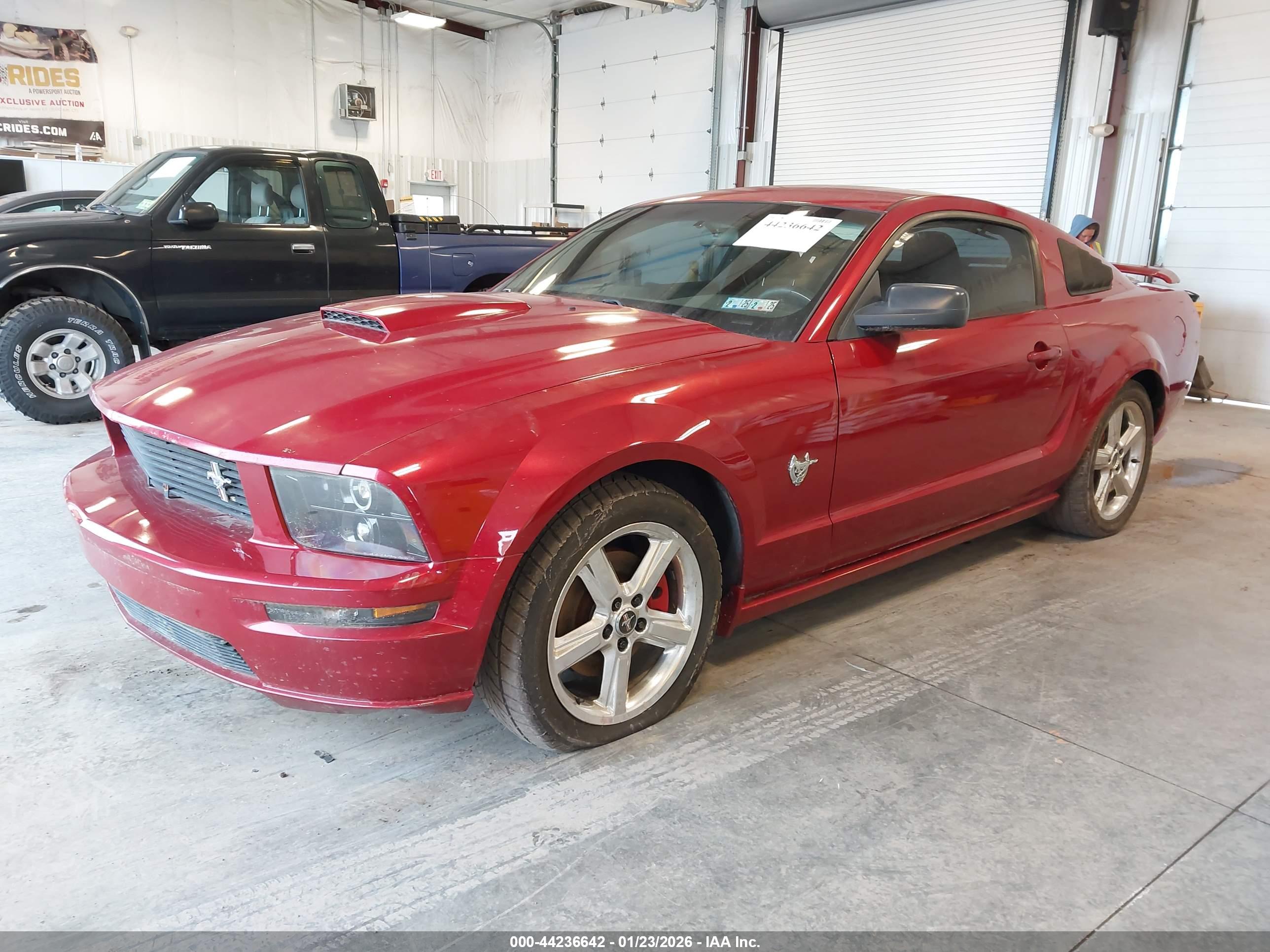 FORD MUSTANG image 2