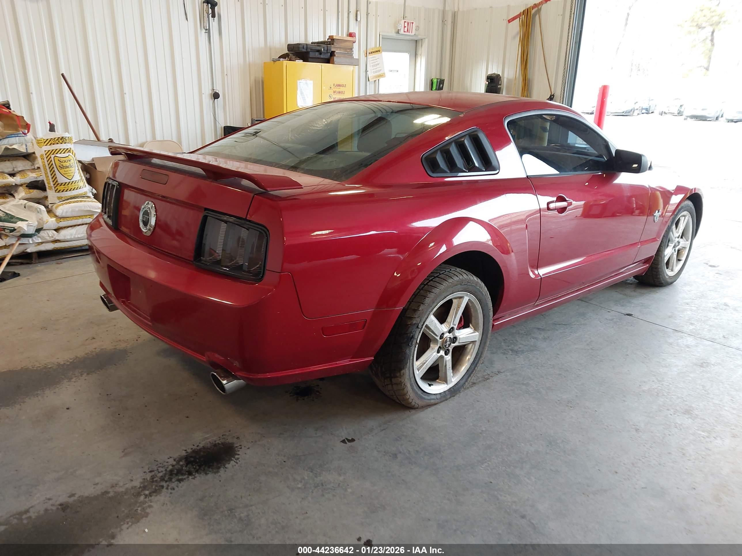 FORD MUSTANG image 4