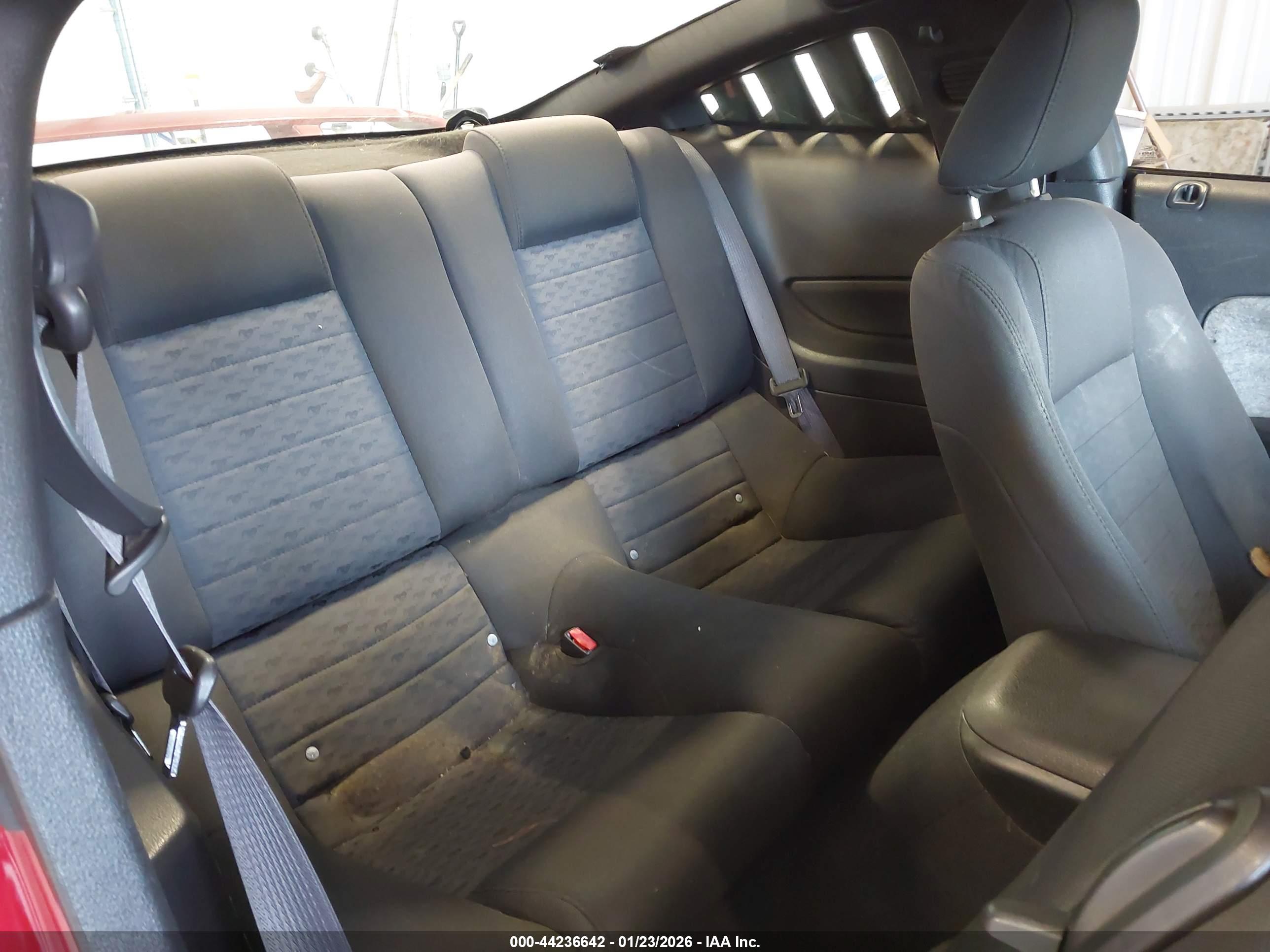 FORD MUSTANG image 8