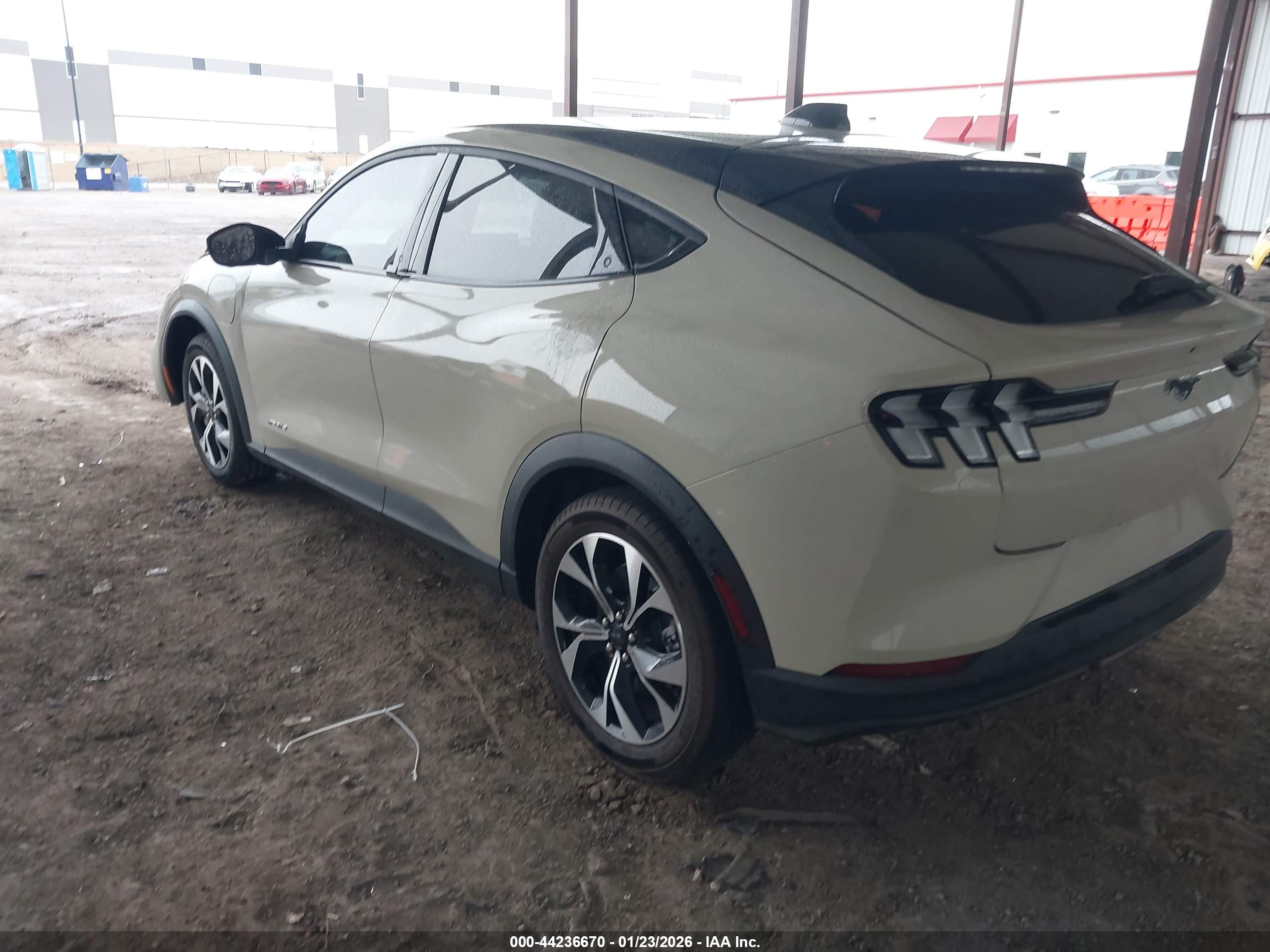 FORD MUSTANG image 3