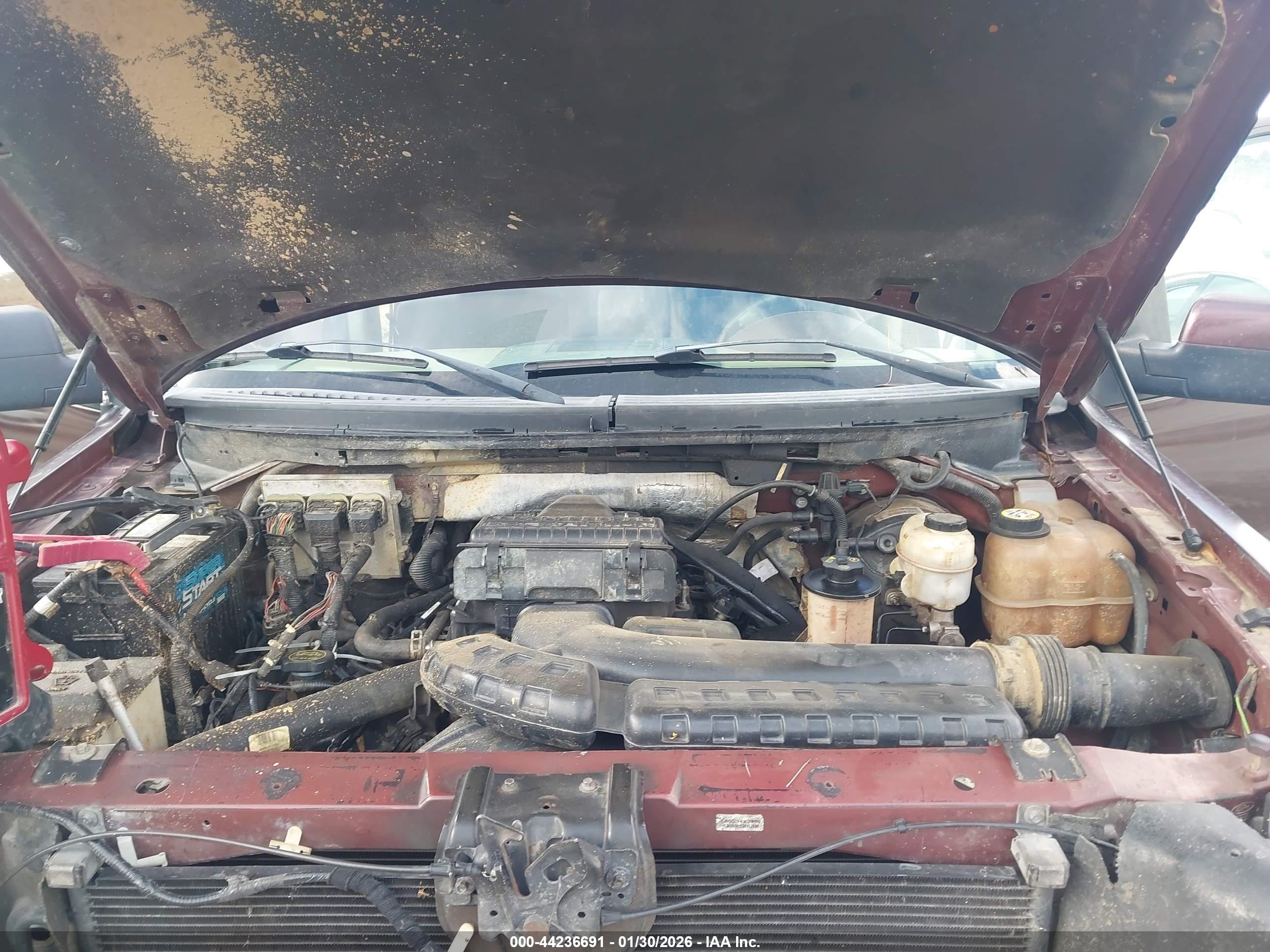 FORD F-150 image 10