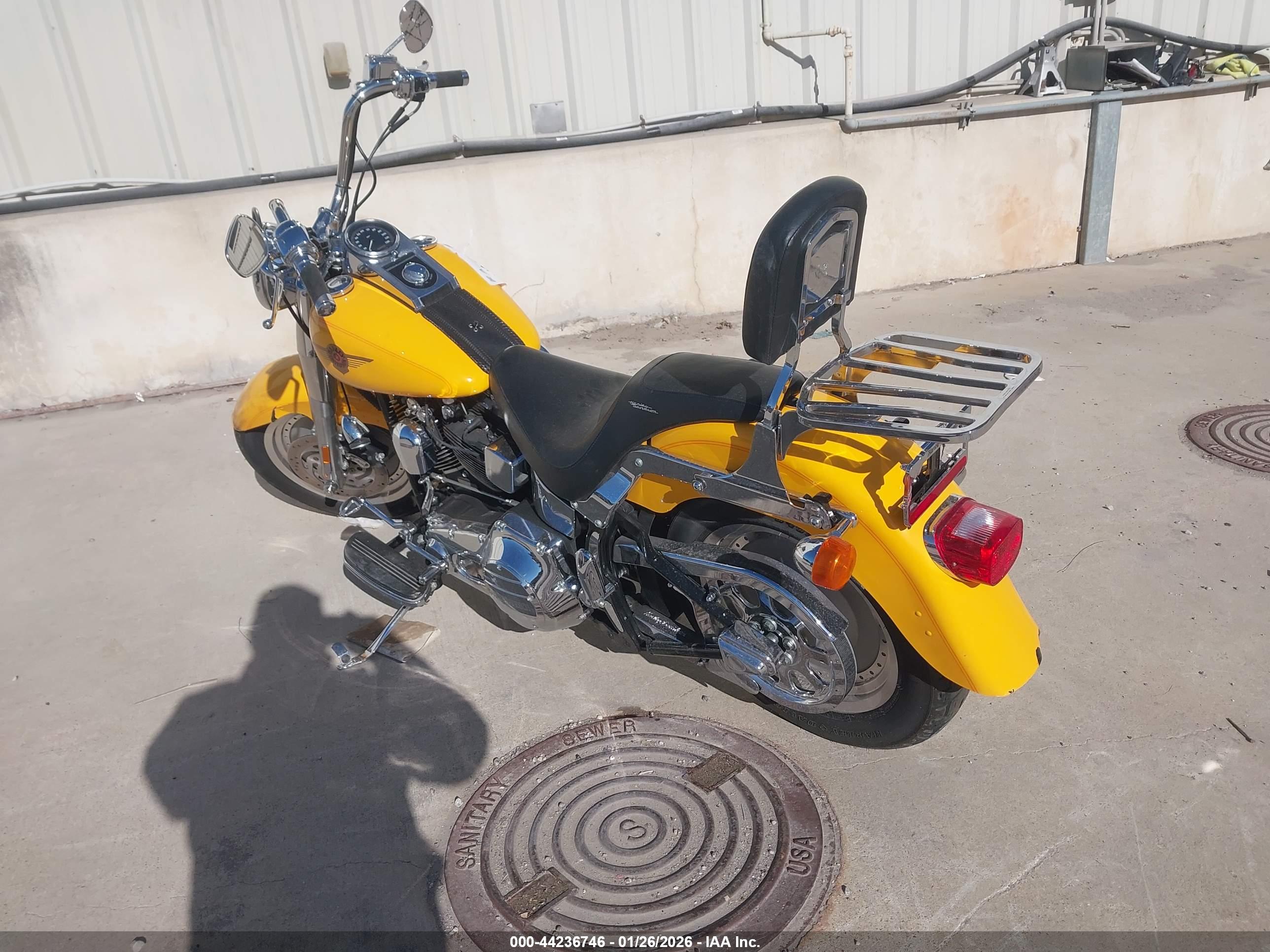 HARLEY-DAVIDSON FLSTF image 3