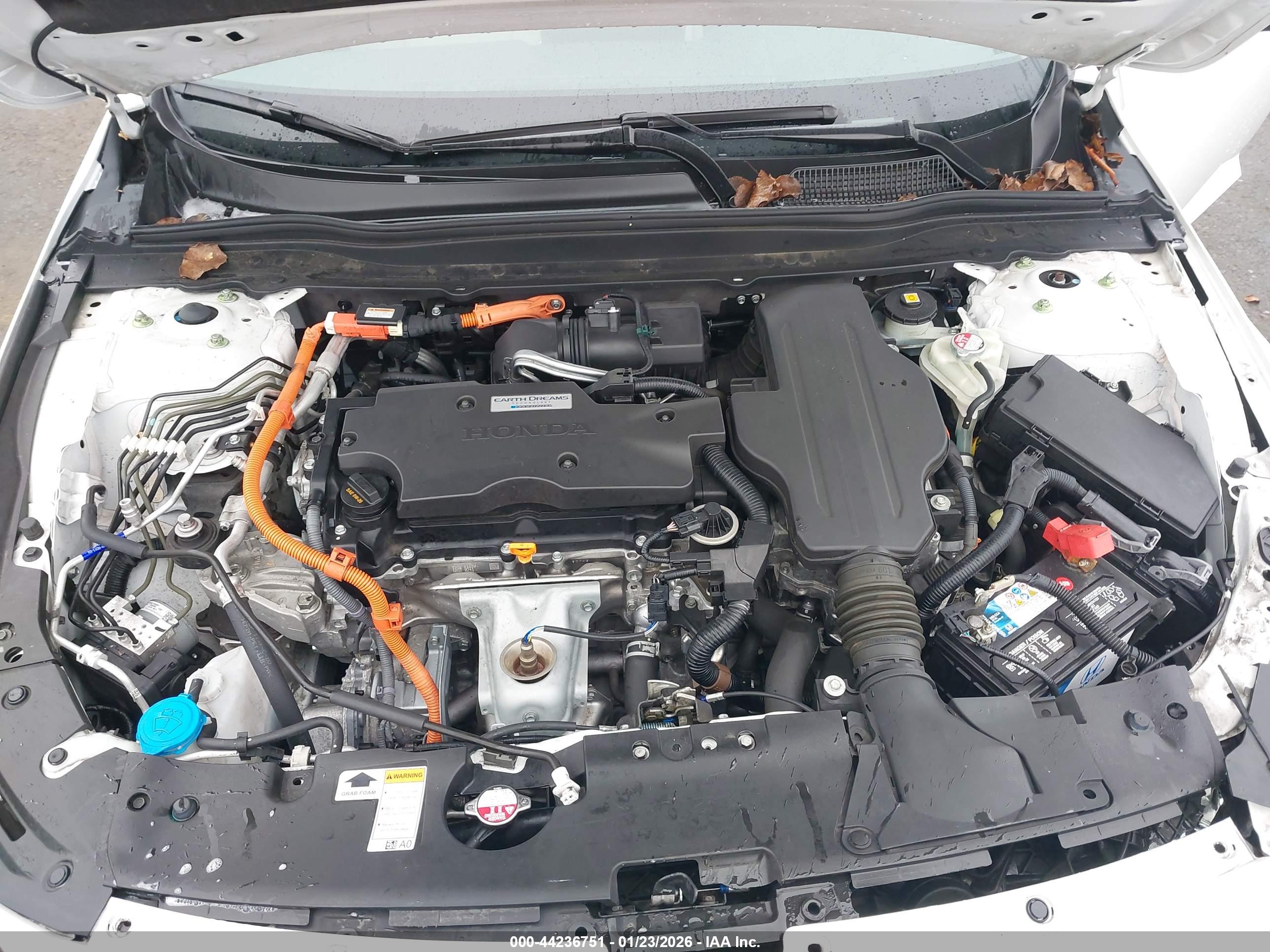 HONDA ACCORD image 10
