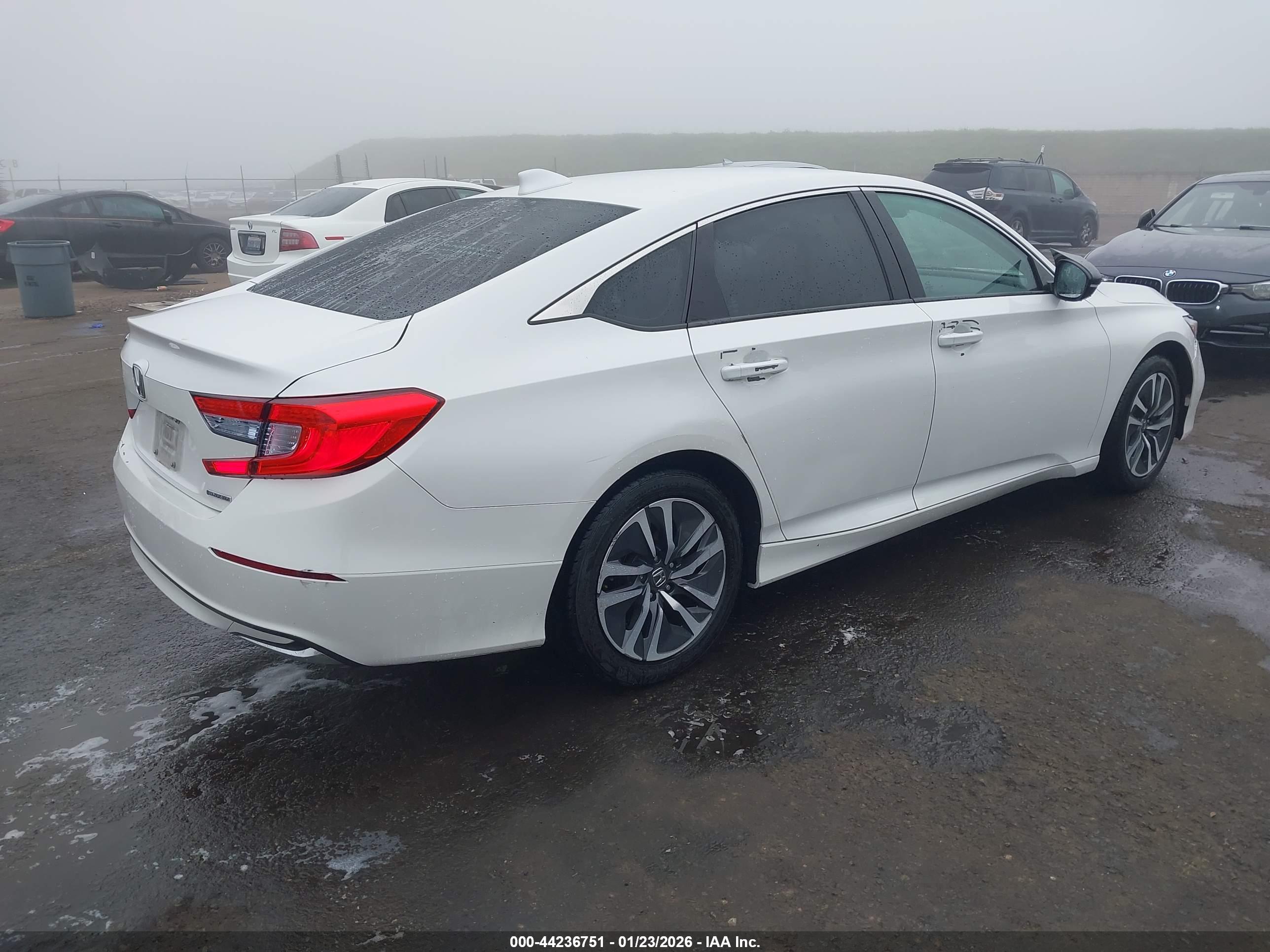 HONDA ACCORD image 4