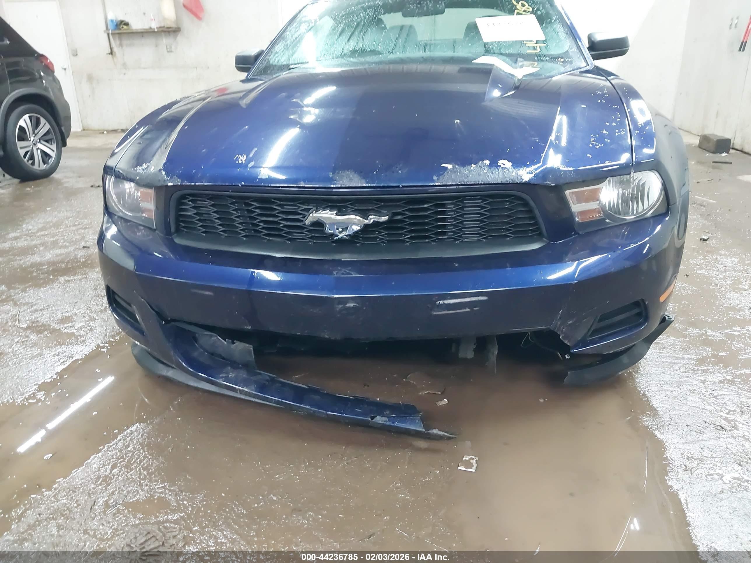 FORD MUSTANG image 6