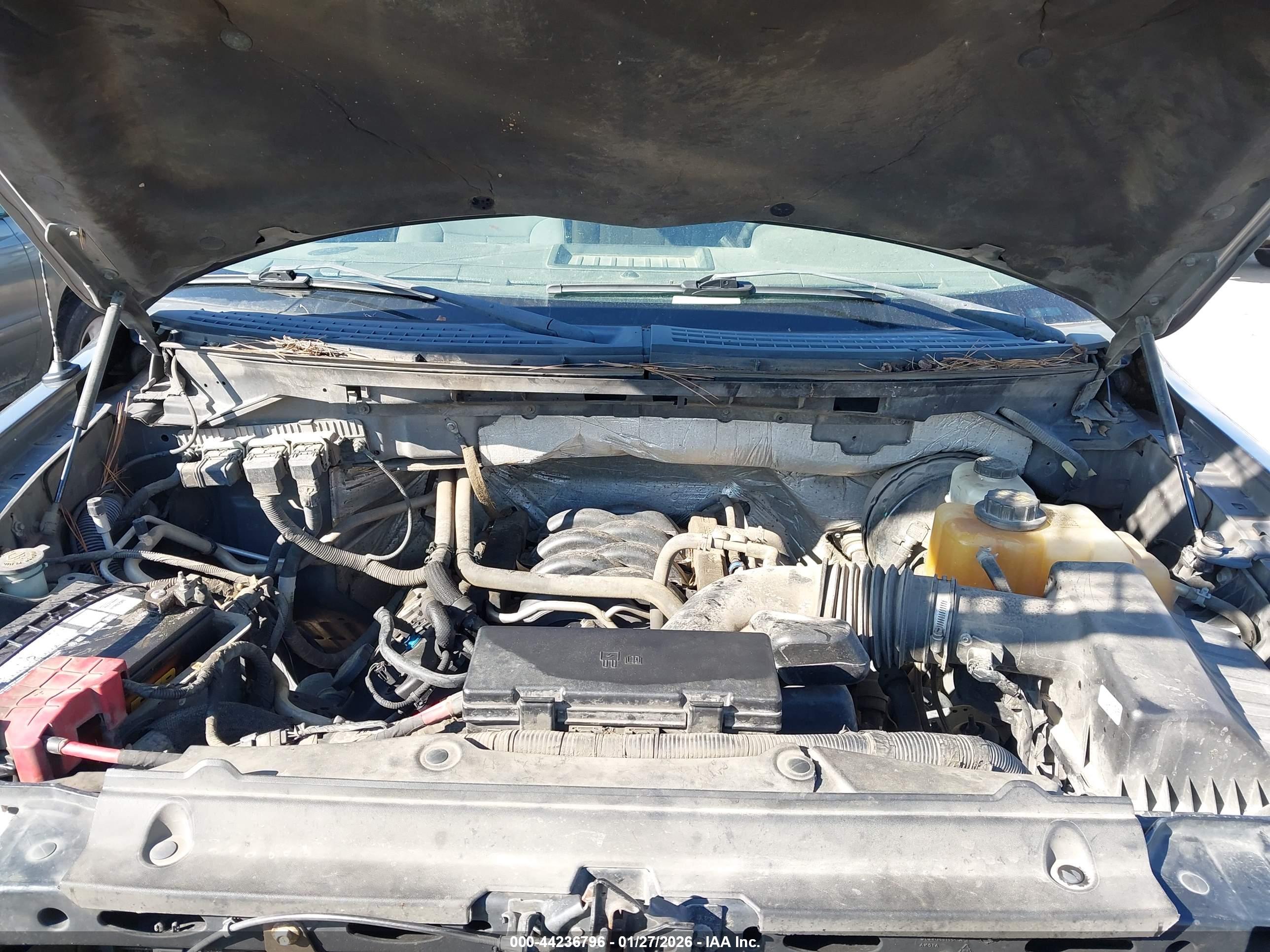 FORD F-150 image 10