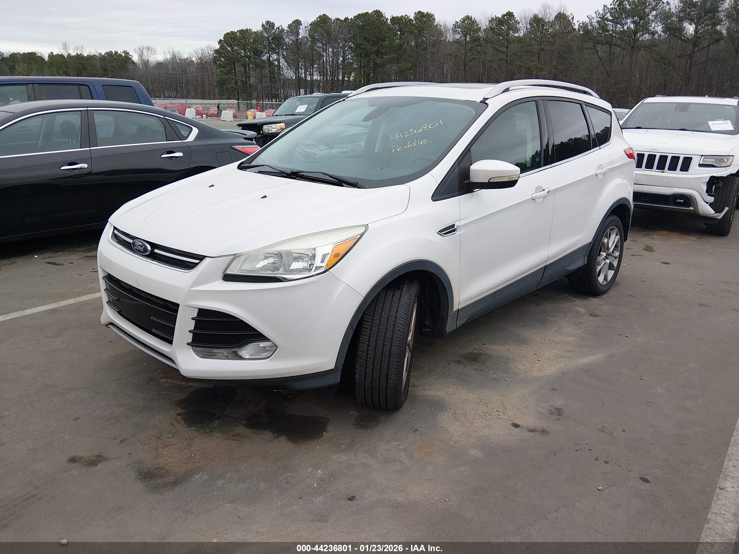 FORD ESCAPE image 2
