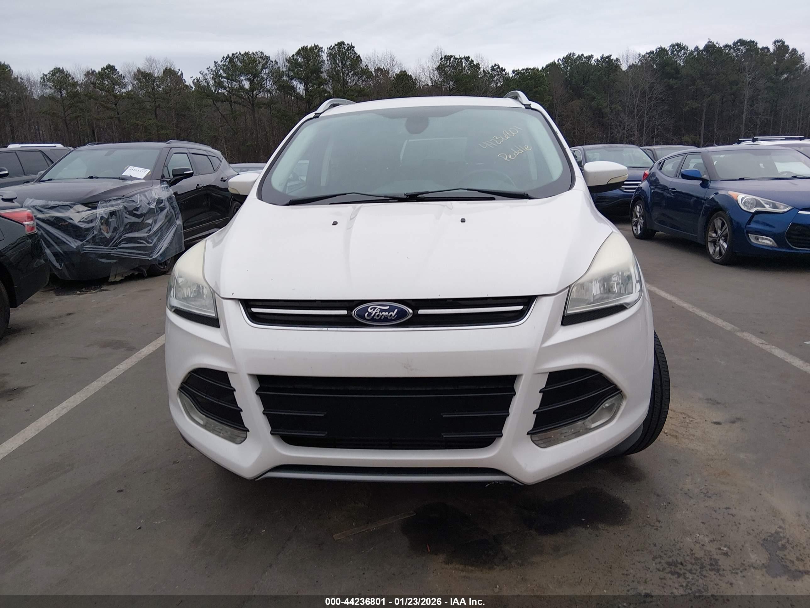 FORD ESCAPE image 6
