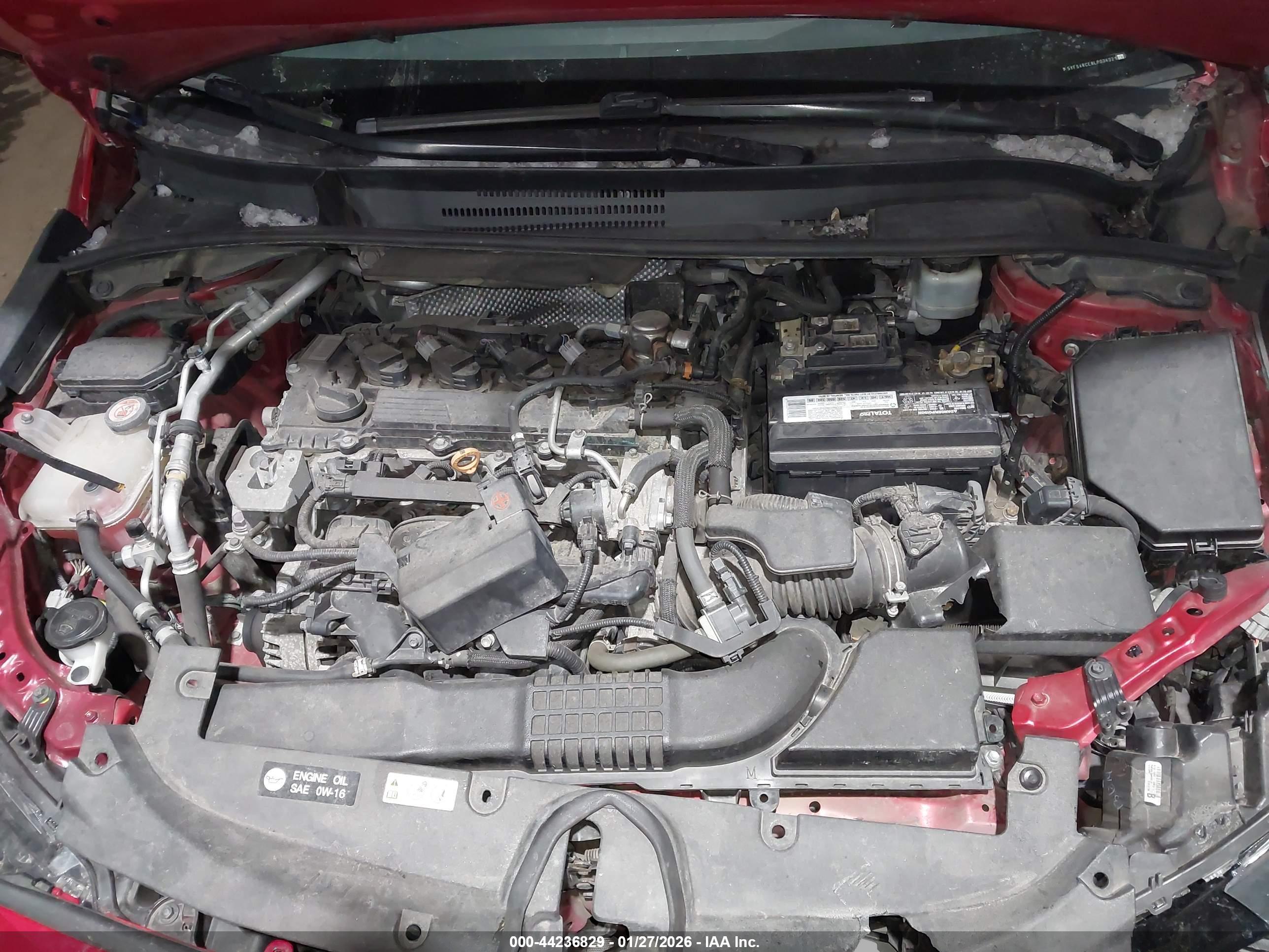 TOYOTA COROLLA image 10