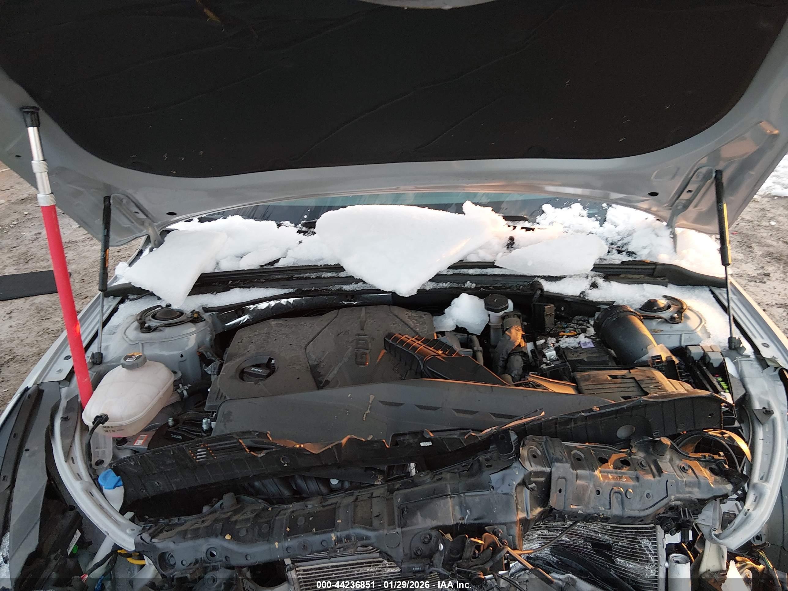 KIA K5 image 10