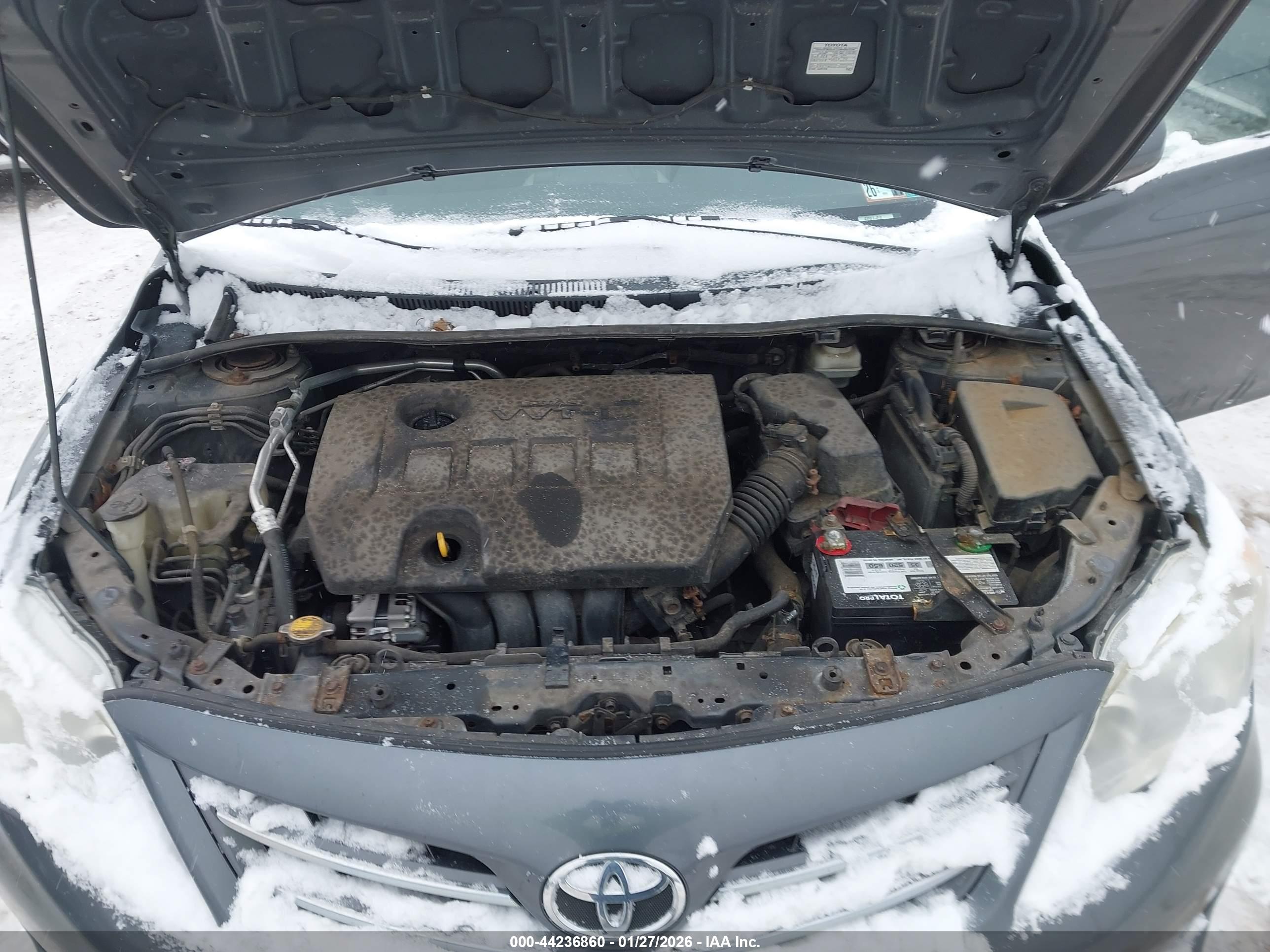 TOYOTA COROLLA image 10
