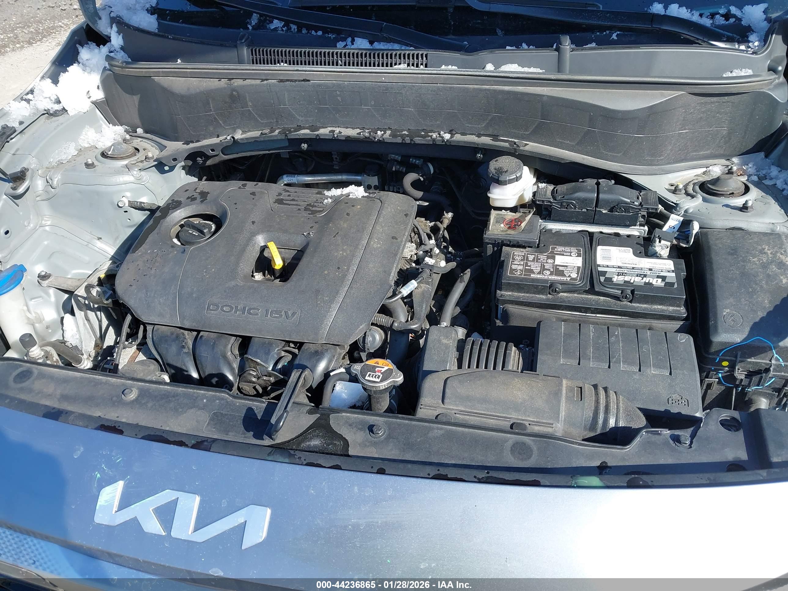 KIA SELTOS image 10