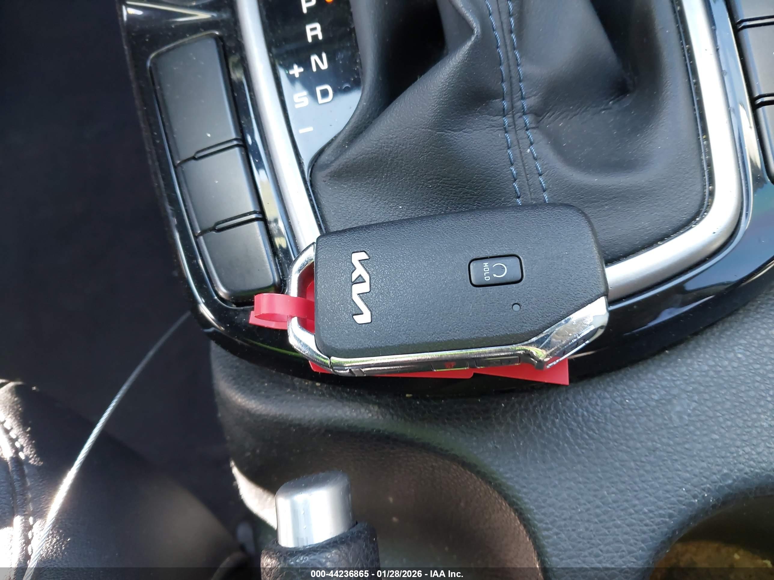 KIA SELTOS image 11