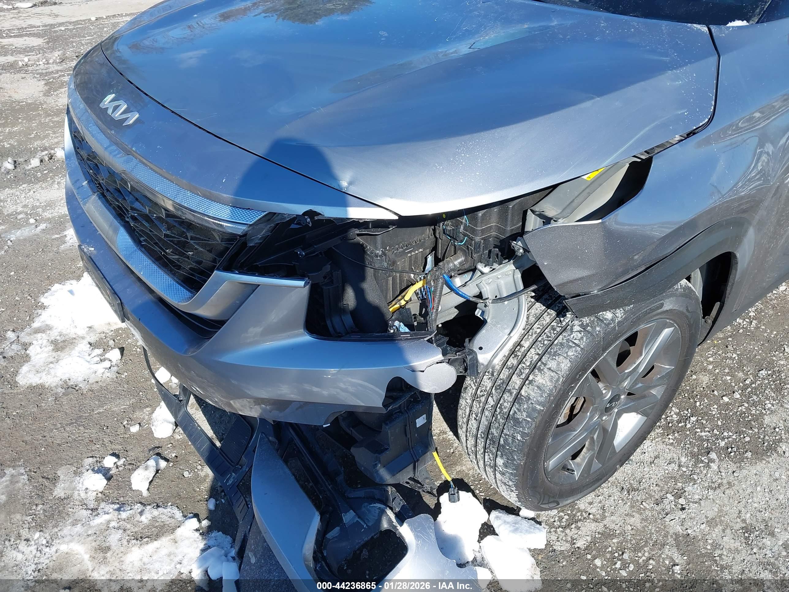 KIA SELTOS image 6