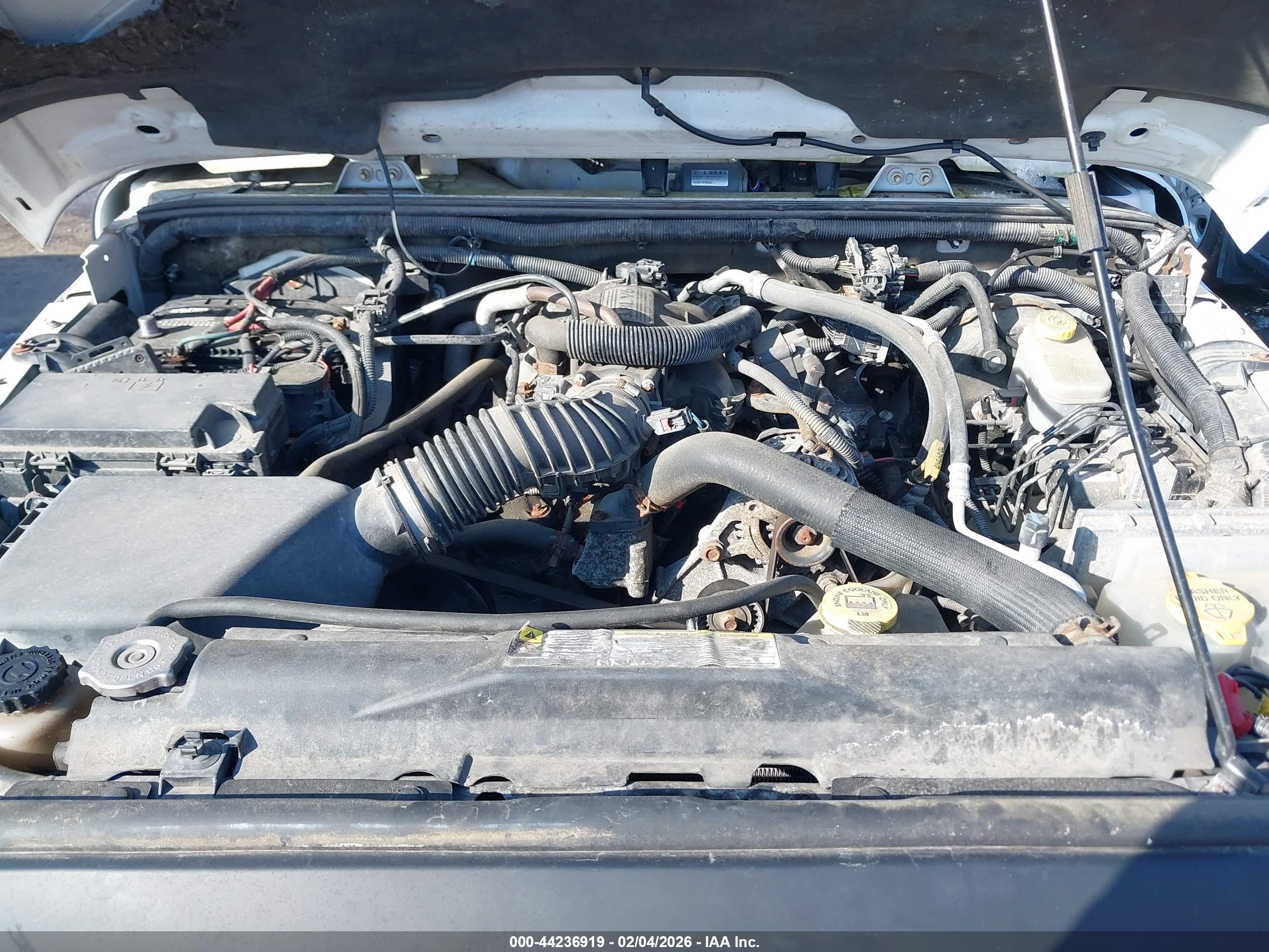 JEEP WRANGLER image 10