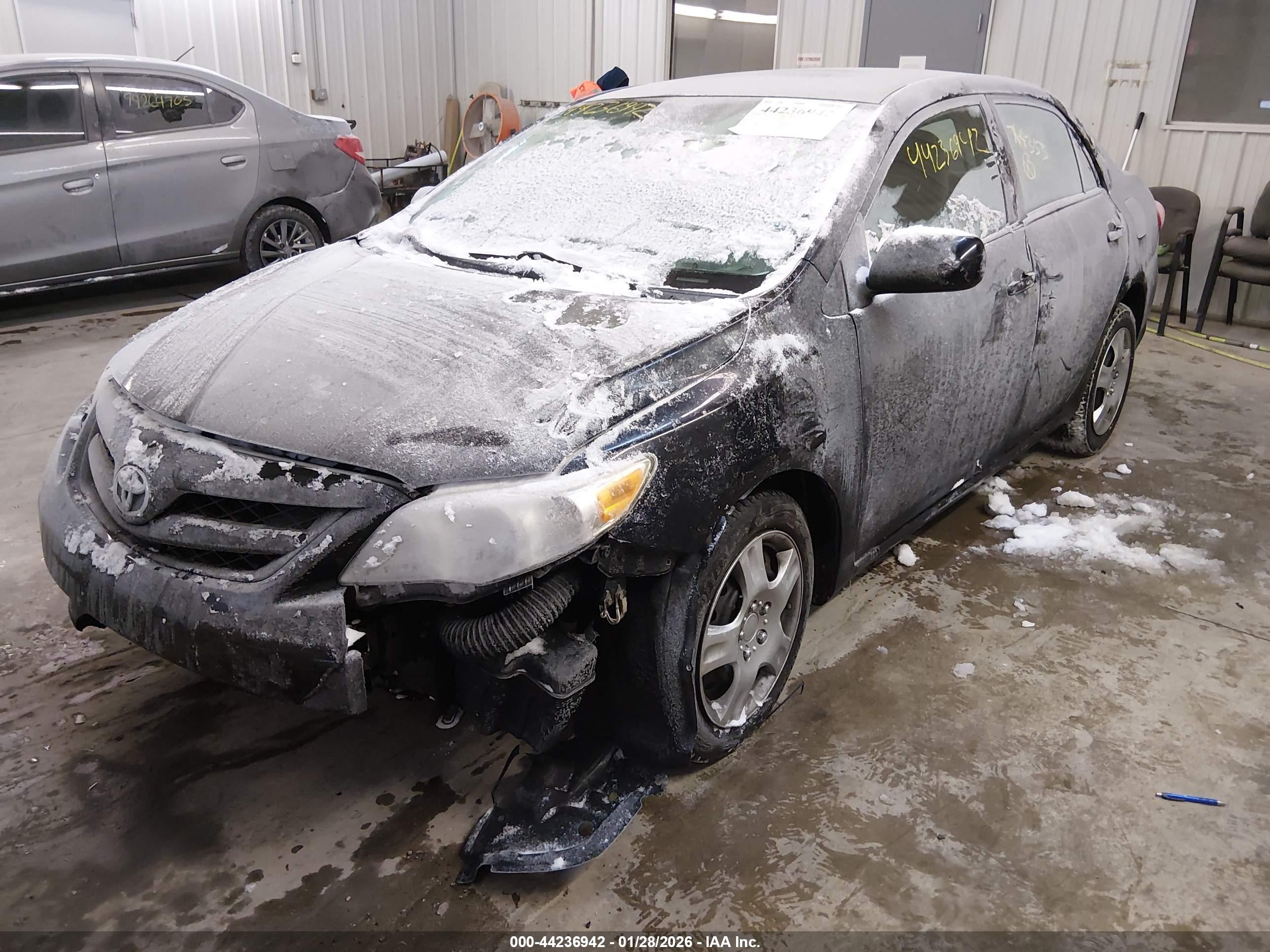 TOYOTA COROLLA image 2