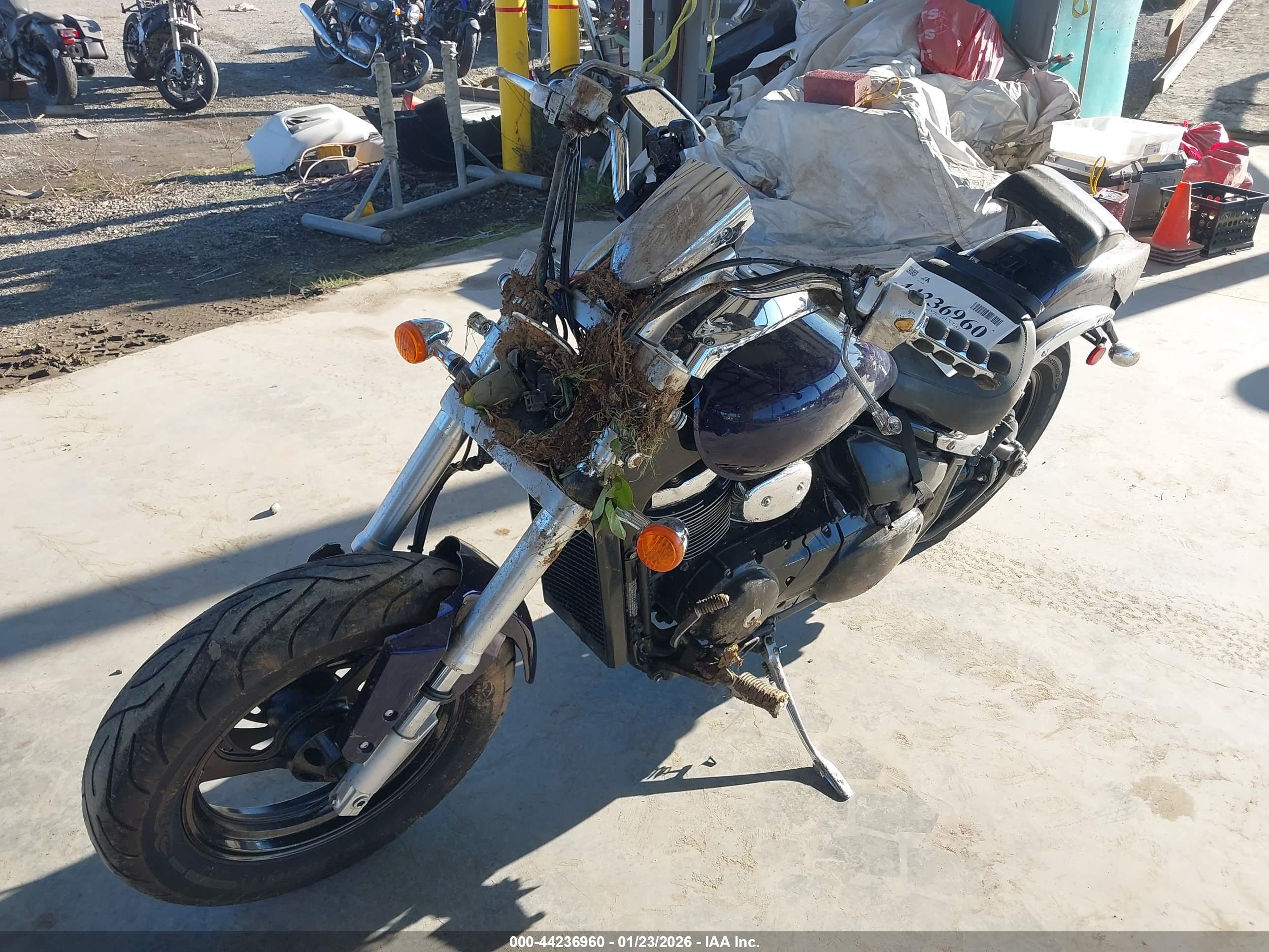 SUZUKI VZ800 image 2