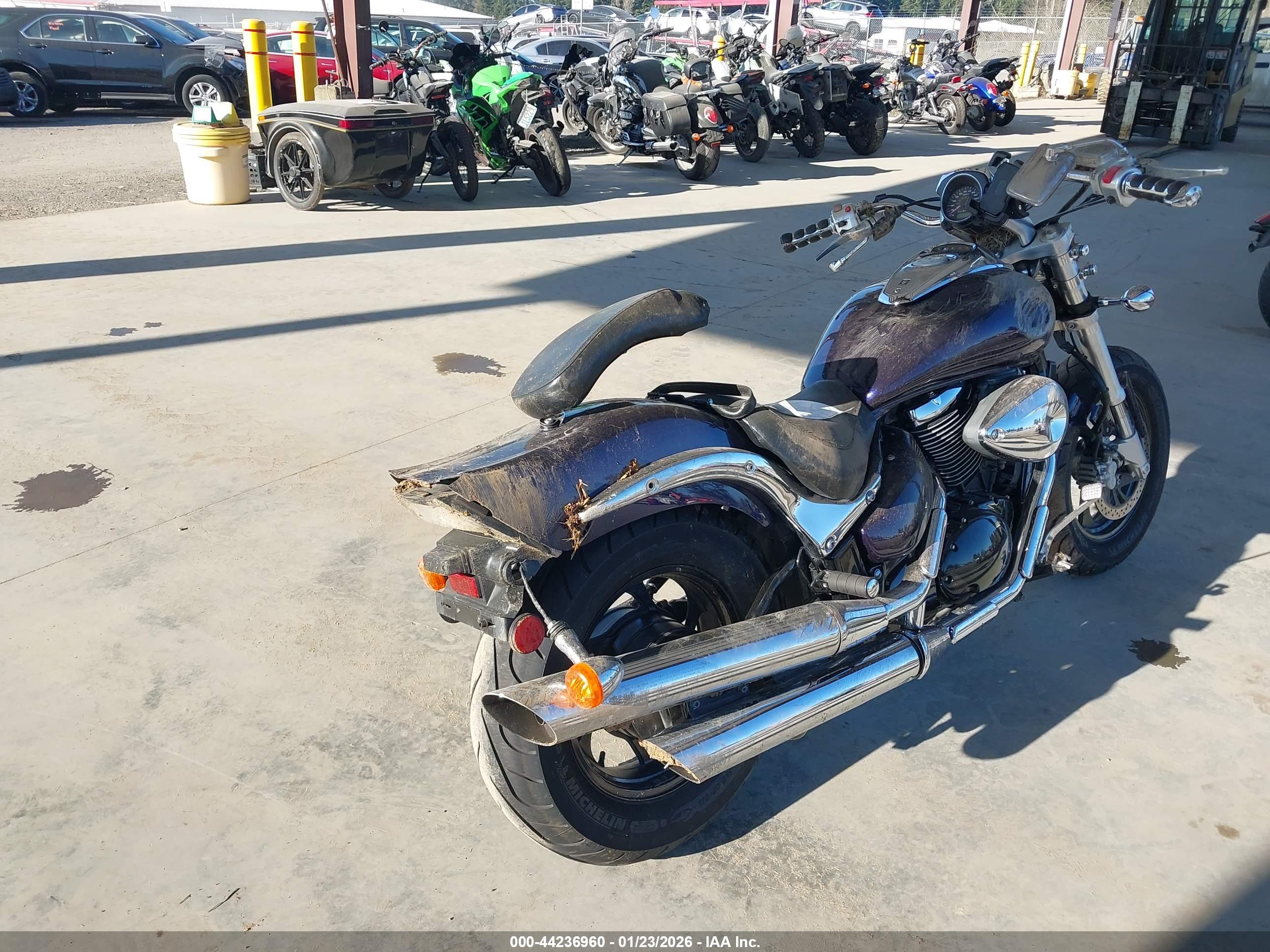 SUZUKI VZ800 image 4