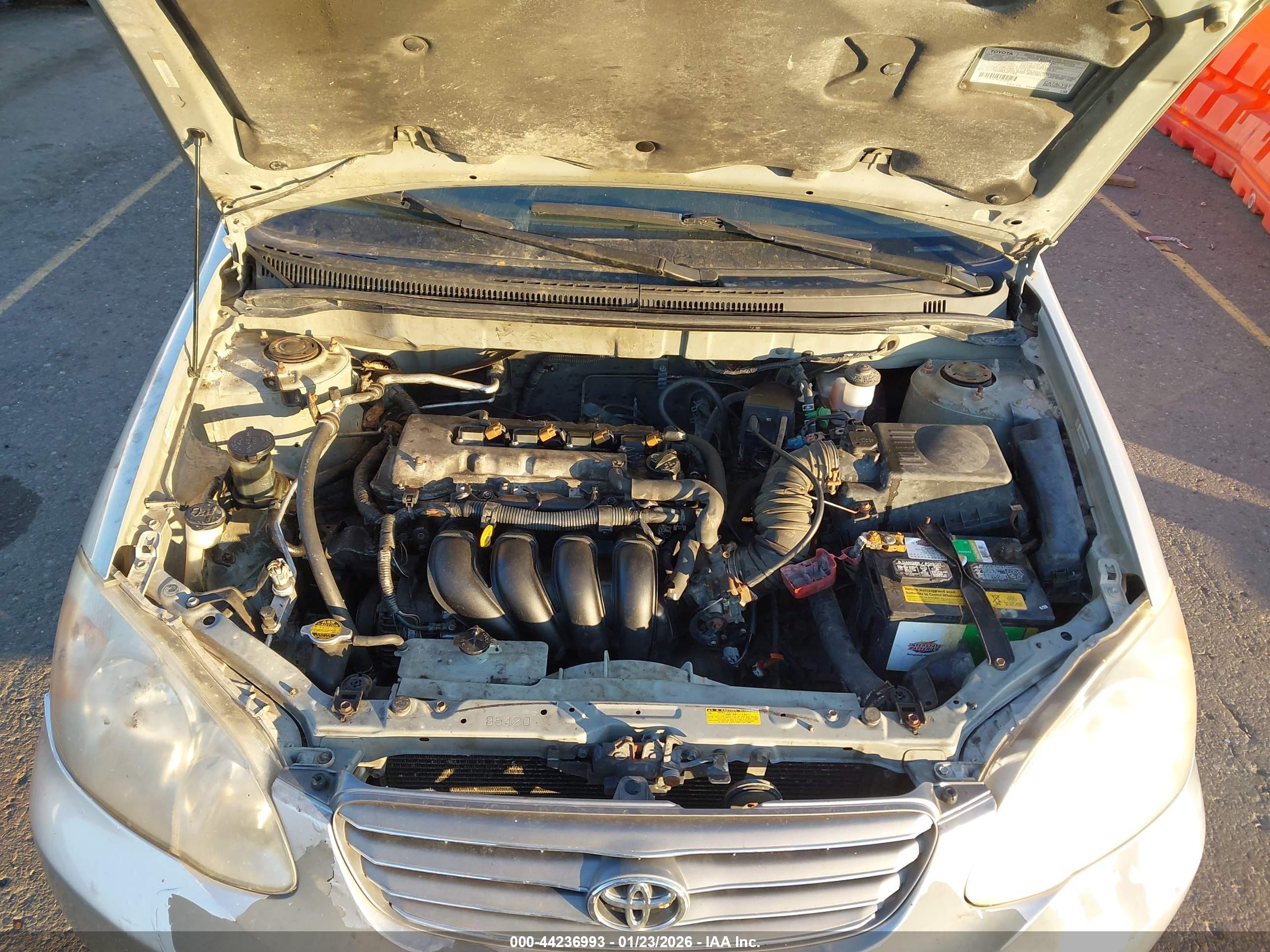 TOYOTA COROLLA image 10