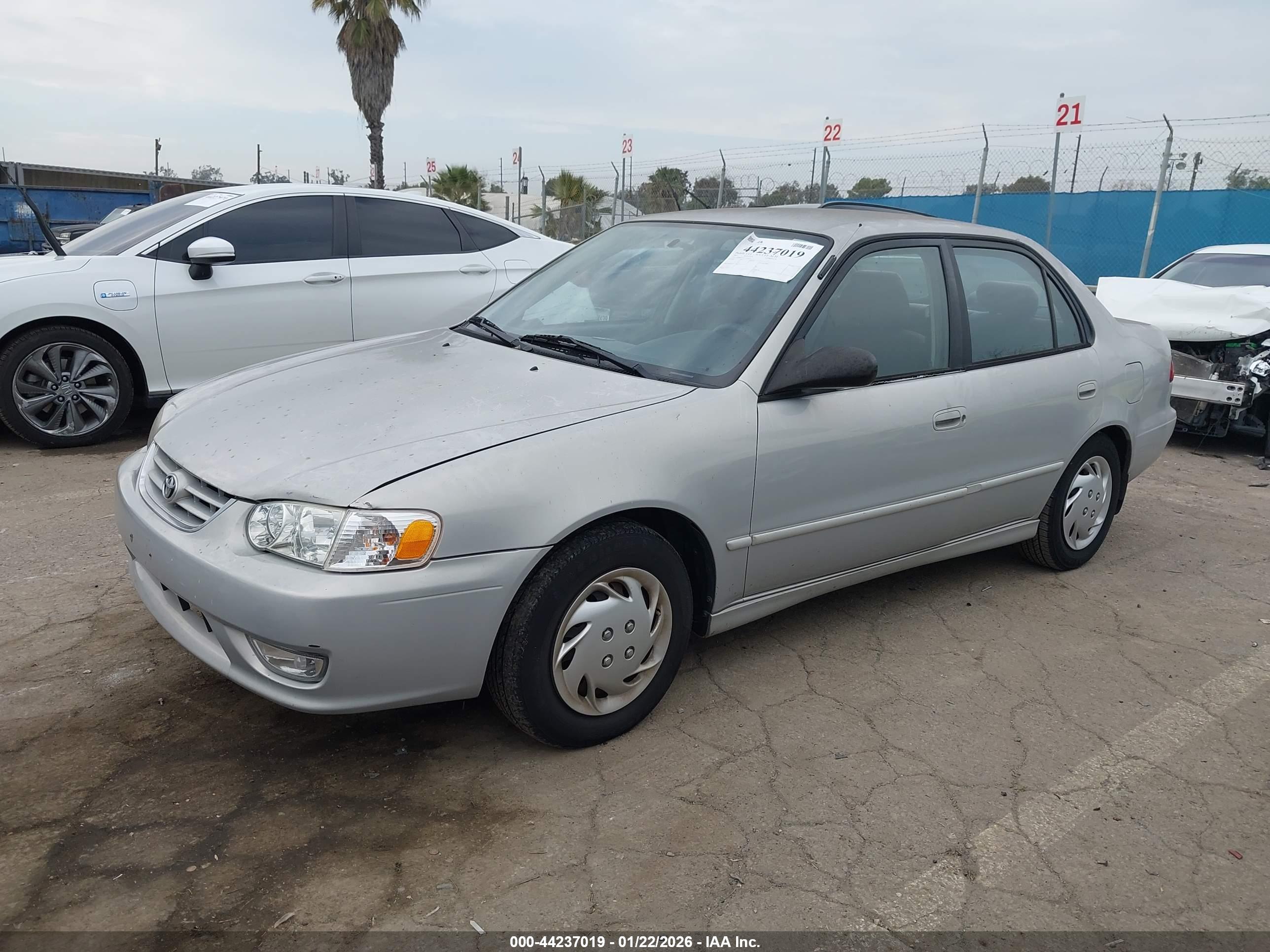 TOYOTA COROLLA image 2