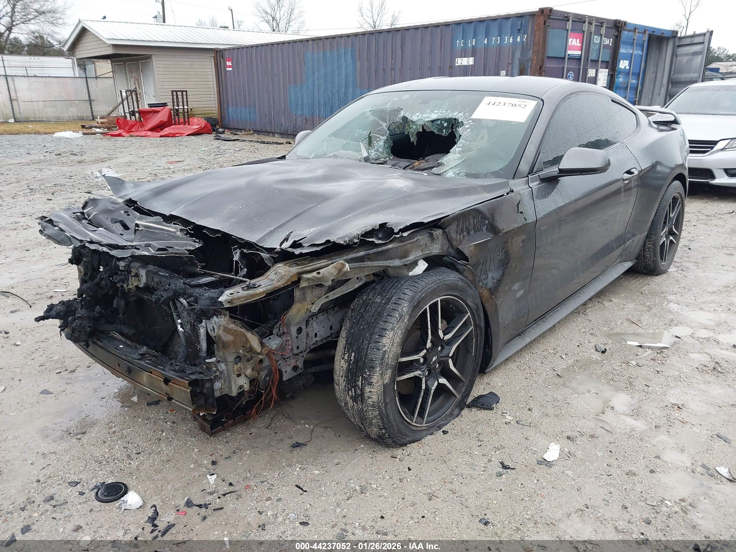 FORD MUSTANG image 2
