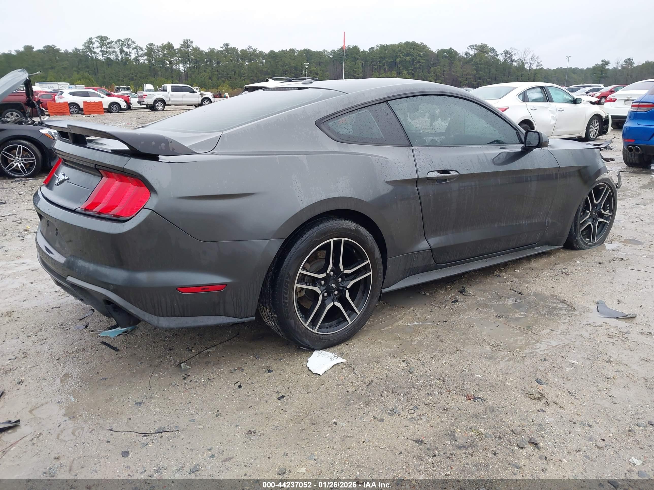 FORD MUSTANG image 4