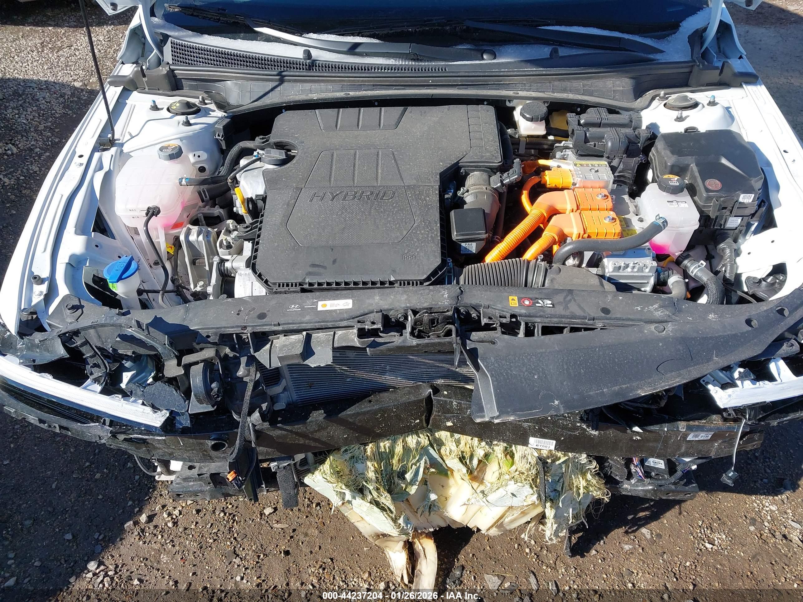 HYUNDAI ELANTRA image 10