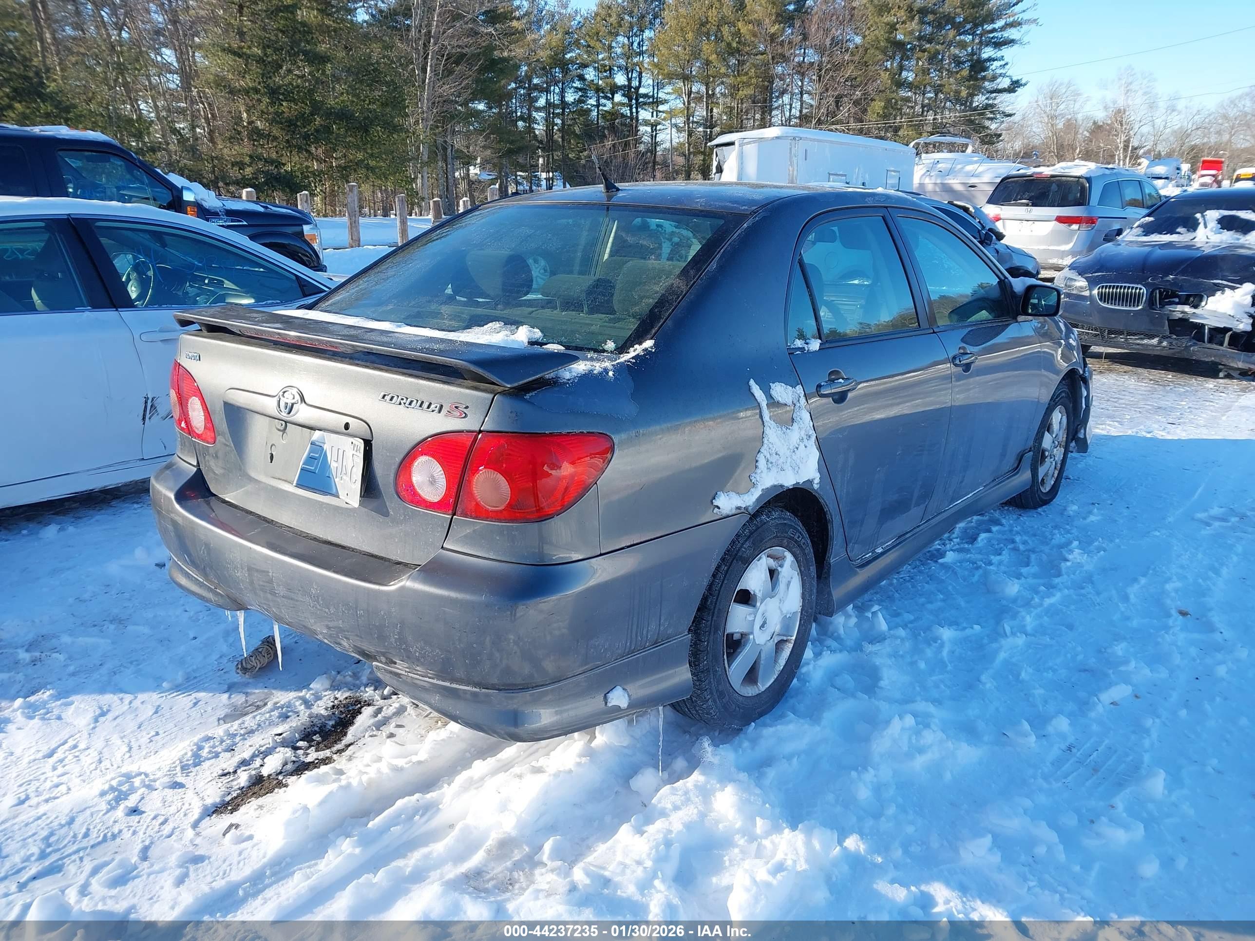 TOYOTA COROLLA image 4