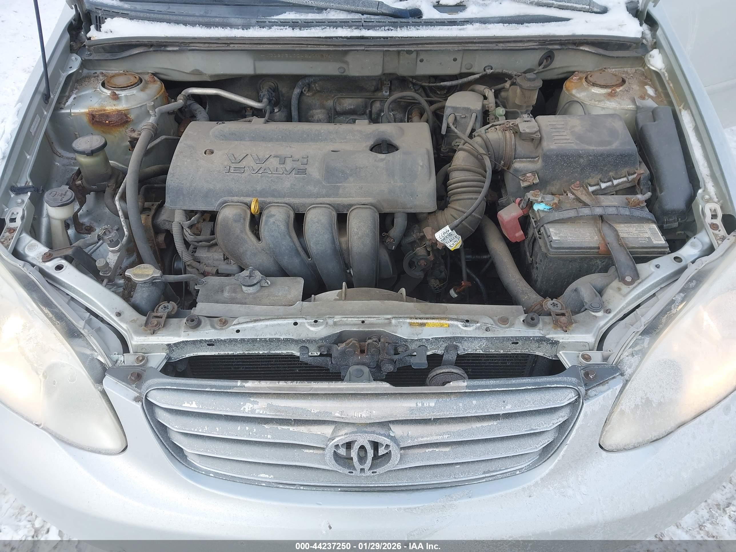 TOYOTA COROLLA image 10