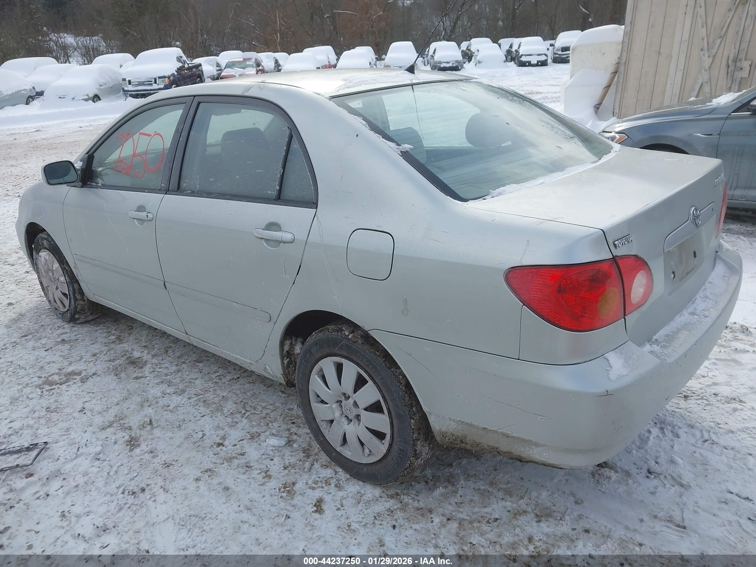 TOYOTA COROLLA image 3