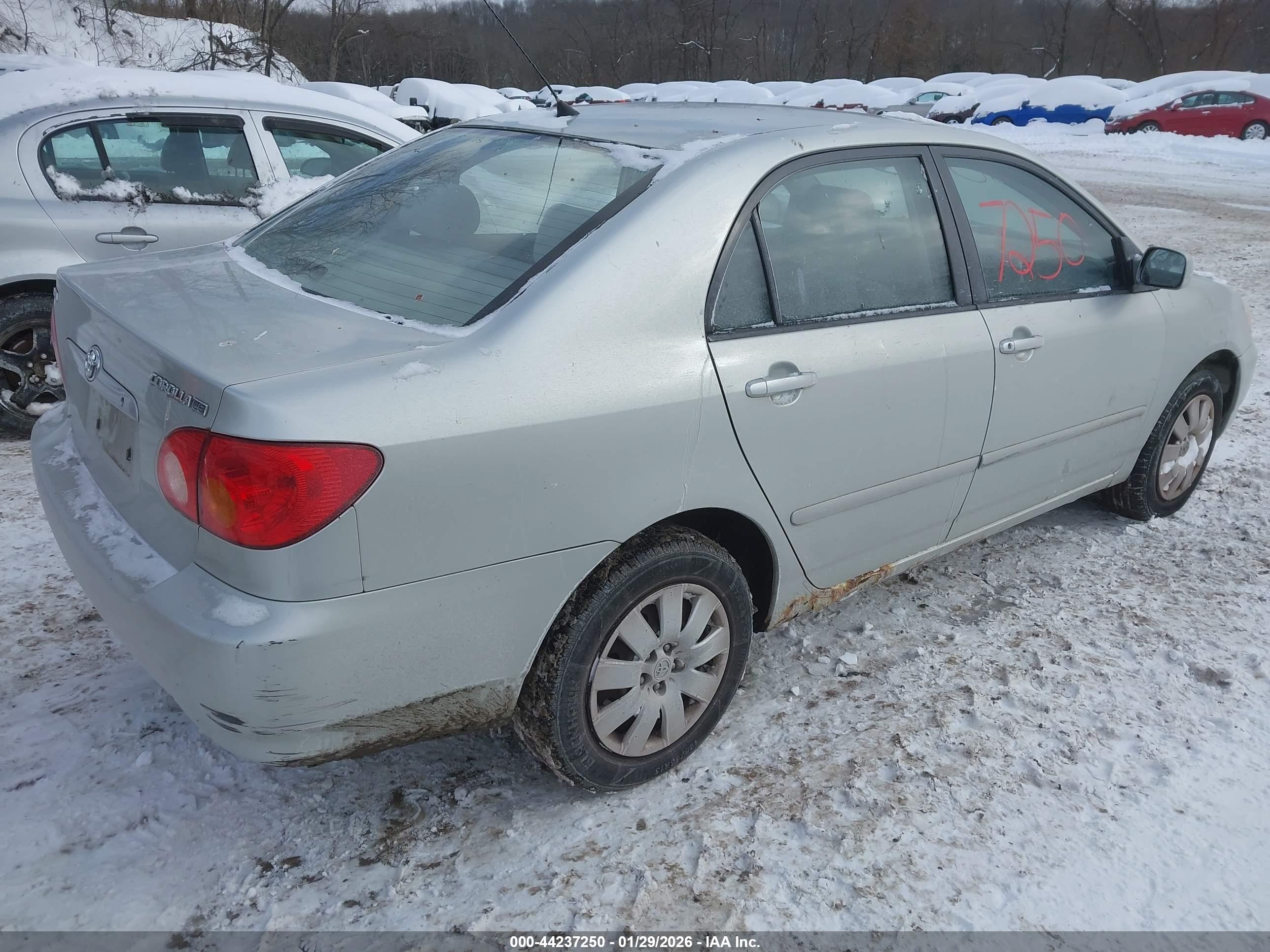 TOYOTA COROLLA image 4
