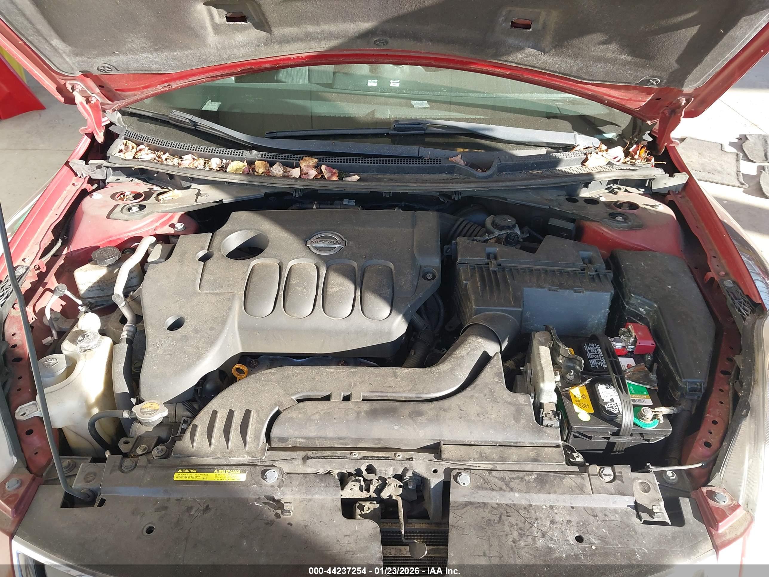 NISSAN ALTIMA image 10