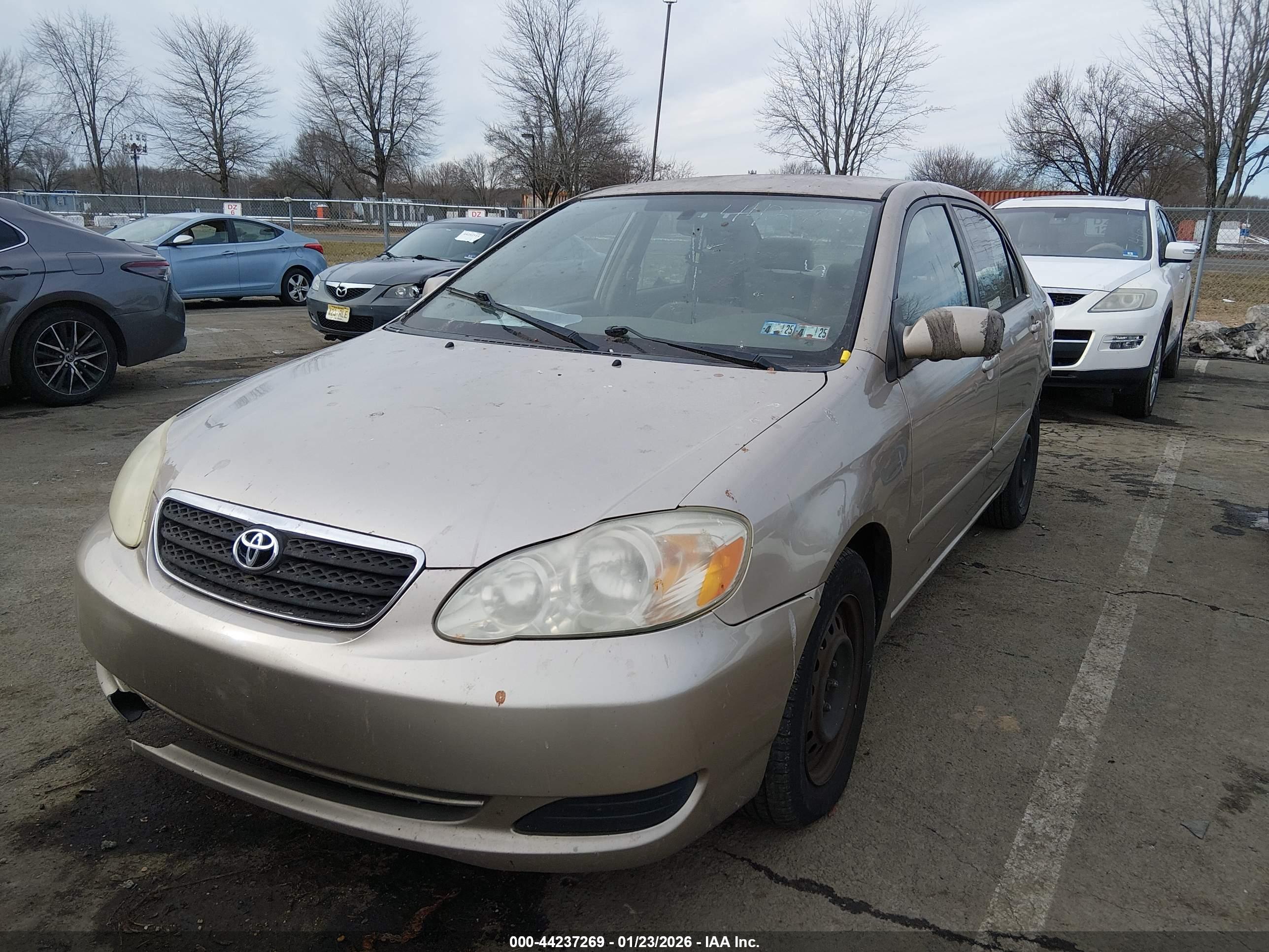 TOYOTA COROLLA image 2