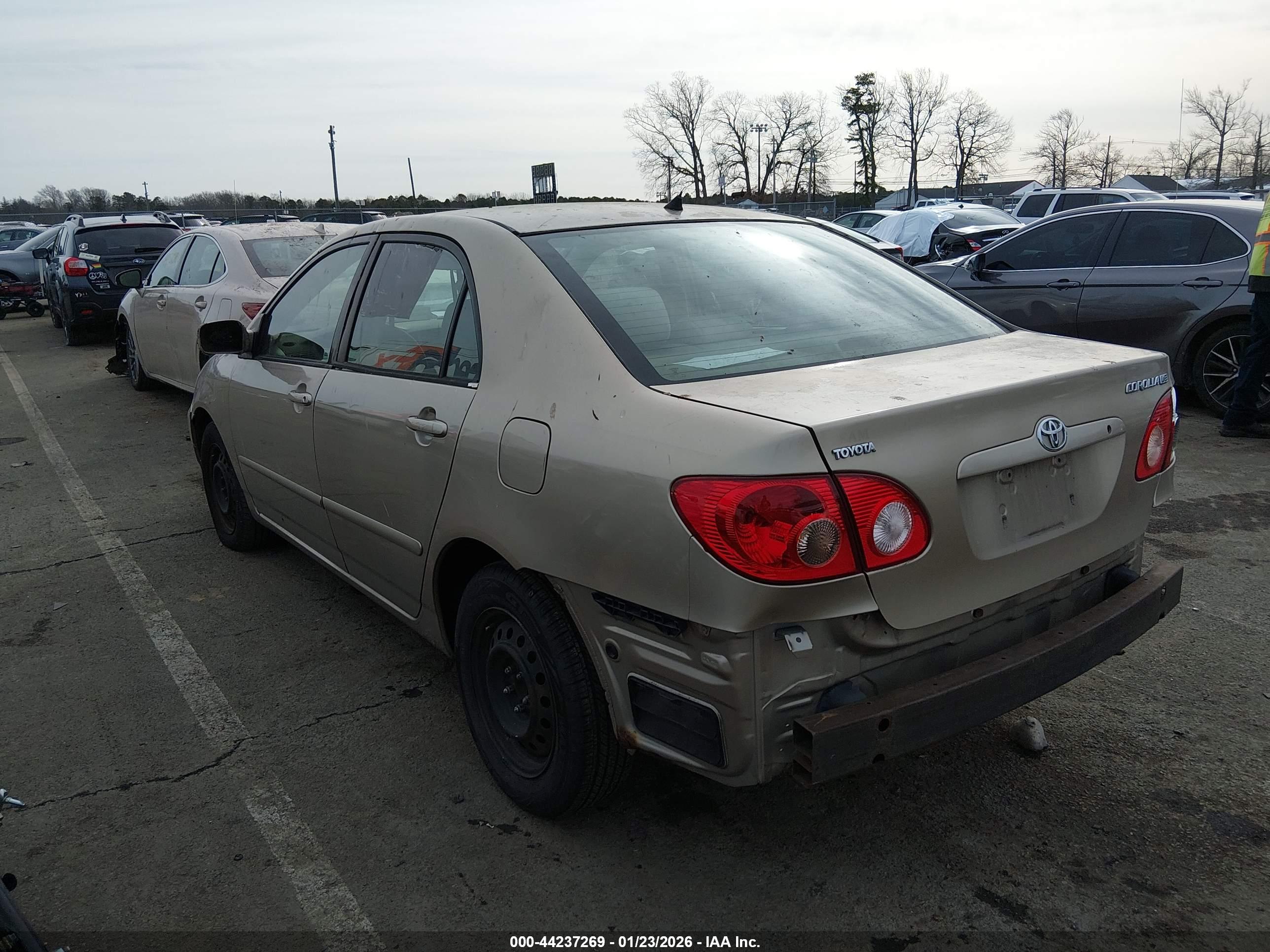TOYOTA COROLLA image 3