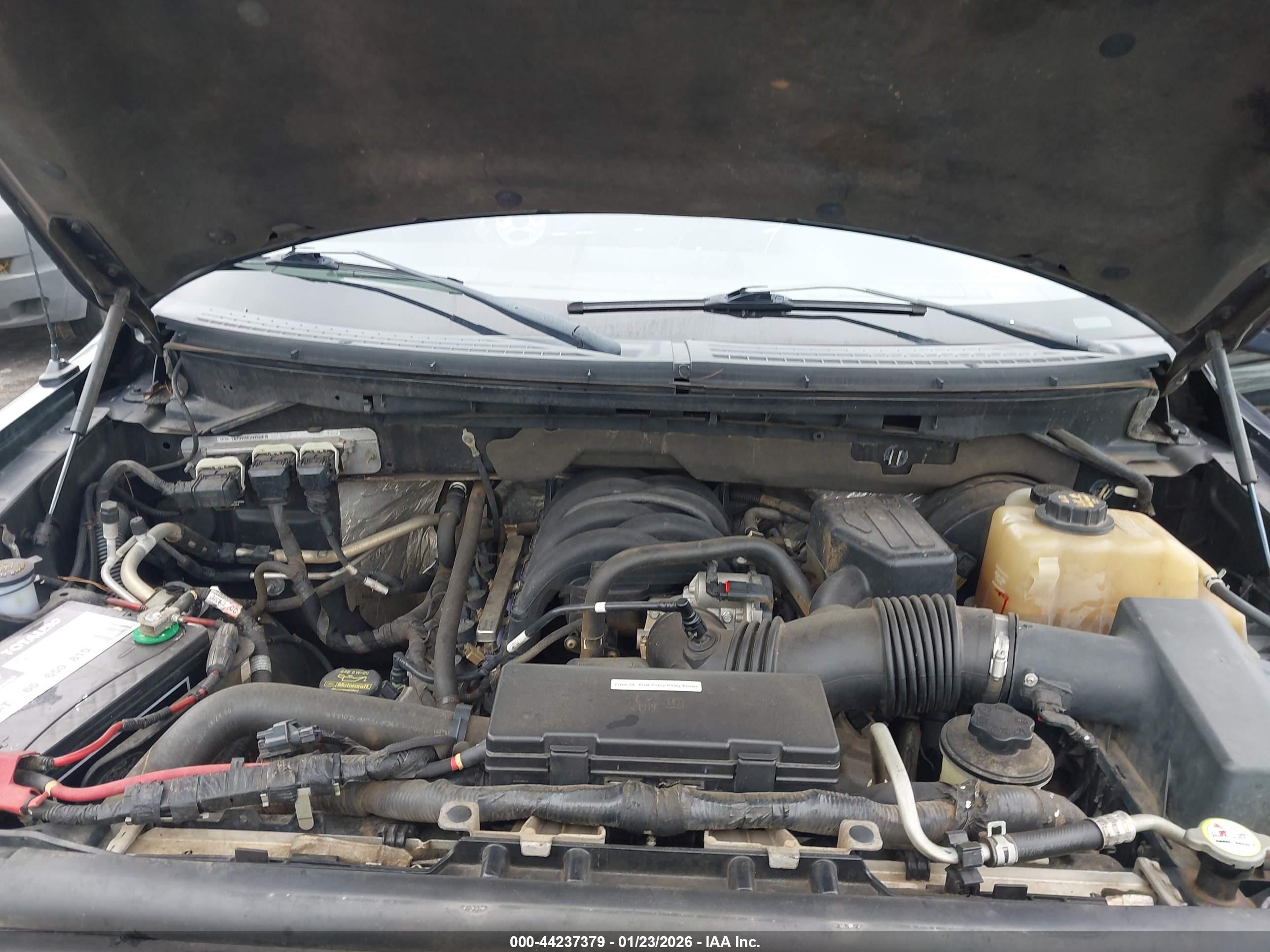 FORD F-150 image 10